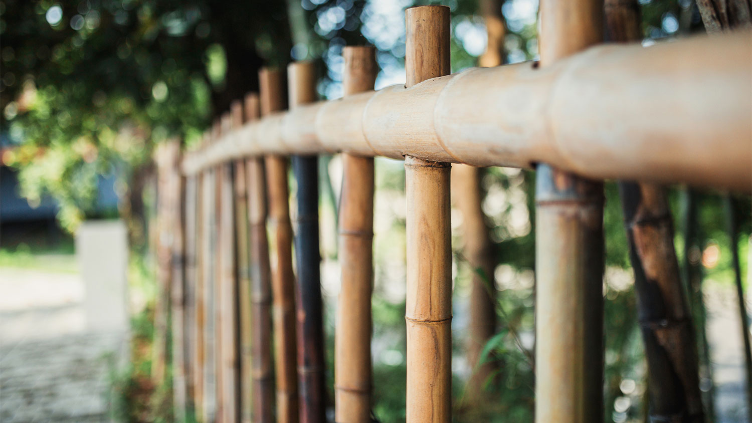 A bamboo fence