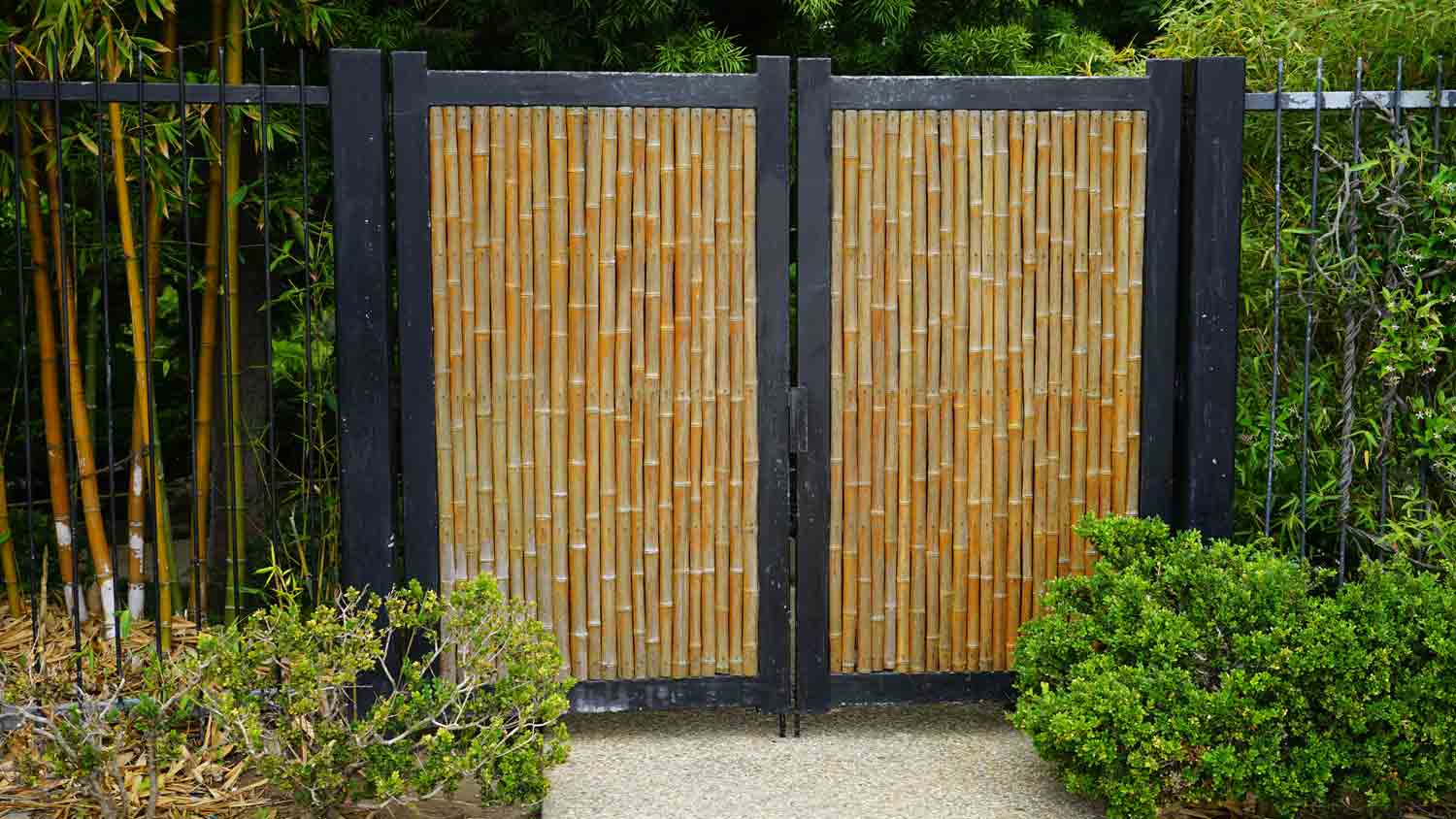 bamboo covered metal fence