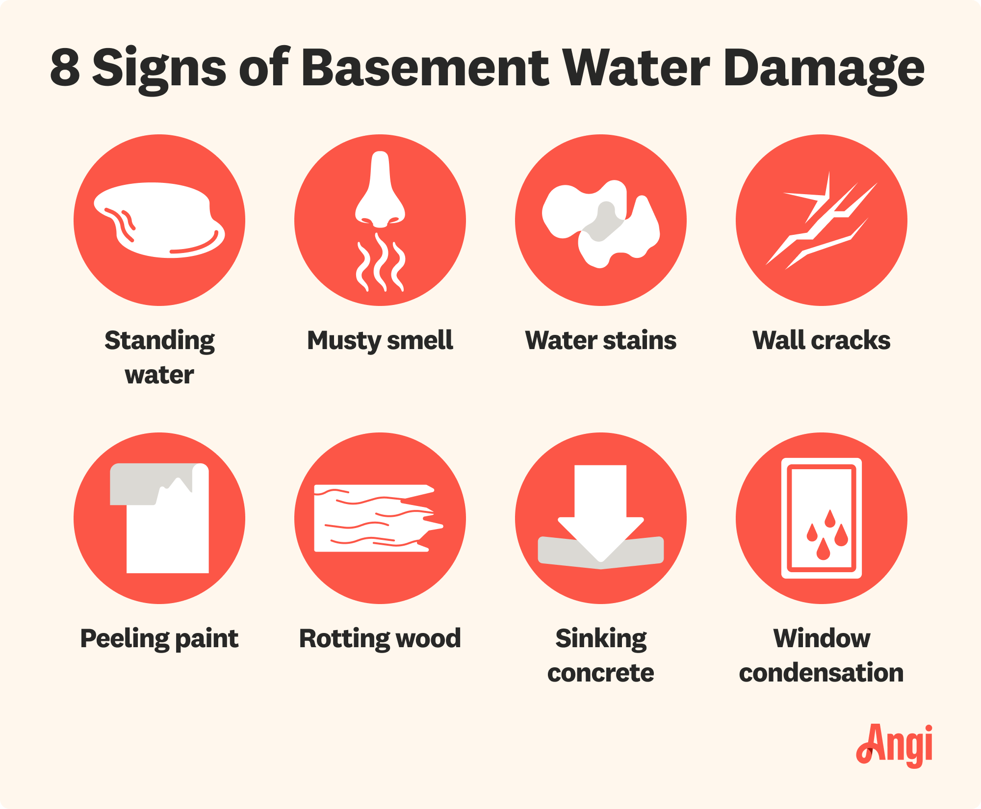 8 signs of basement water damage, including standing water, wall cracks, and window condensation