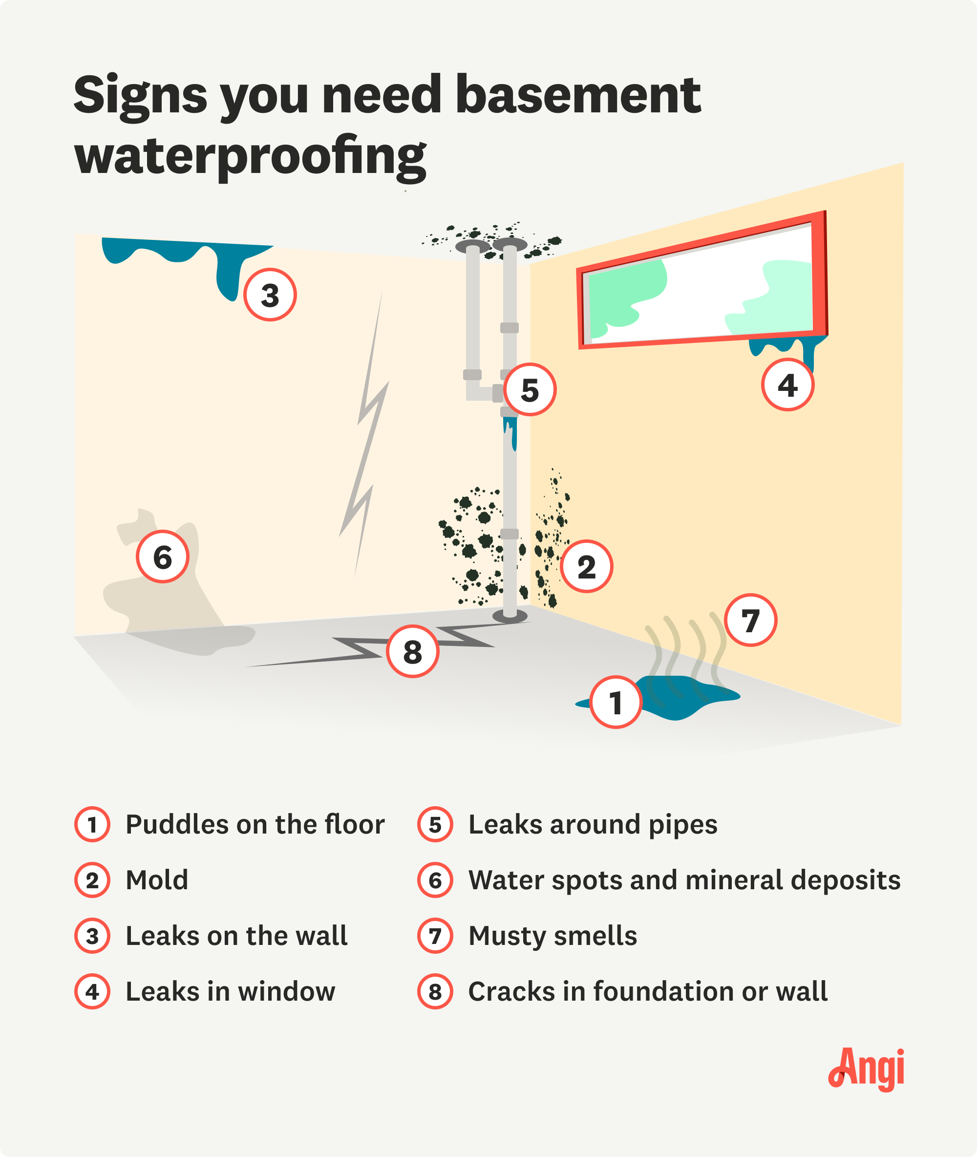 8 signs basement waterproofing is needed illustrated, including mold, leaks, and musty smells