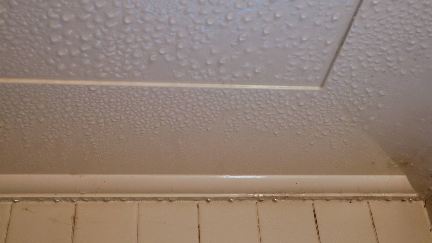 Water droplets on a ceiling