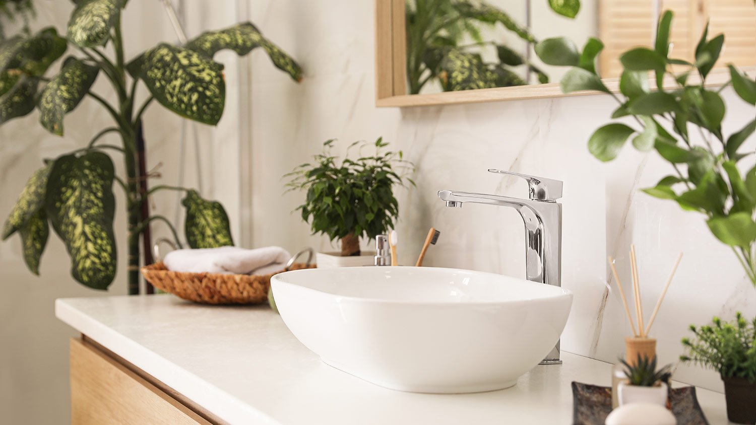 bathroom sink with plants on counter