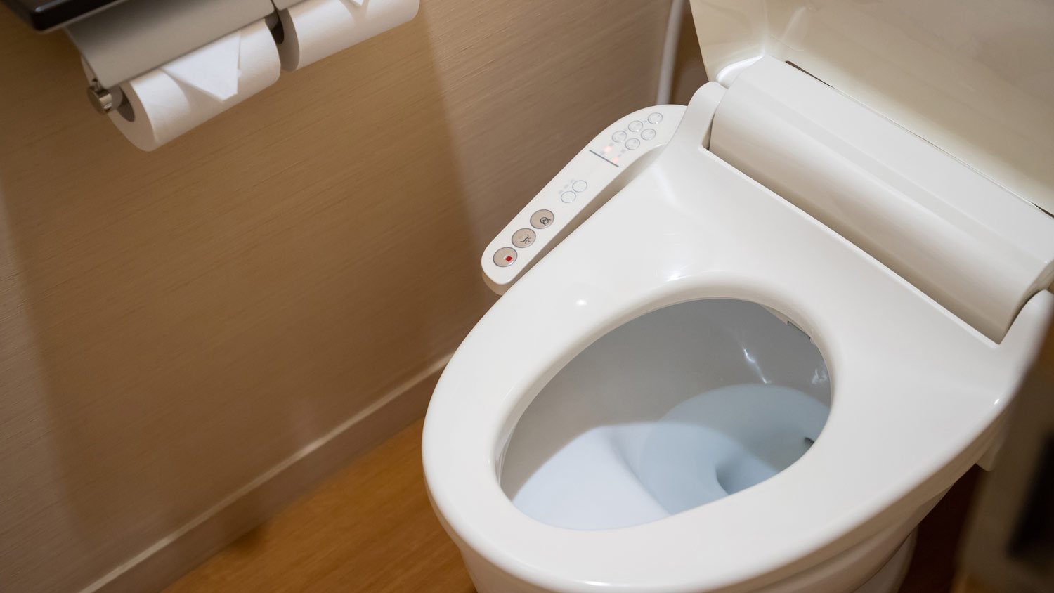 bathroom toilet with bidet