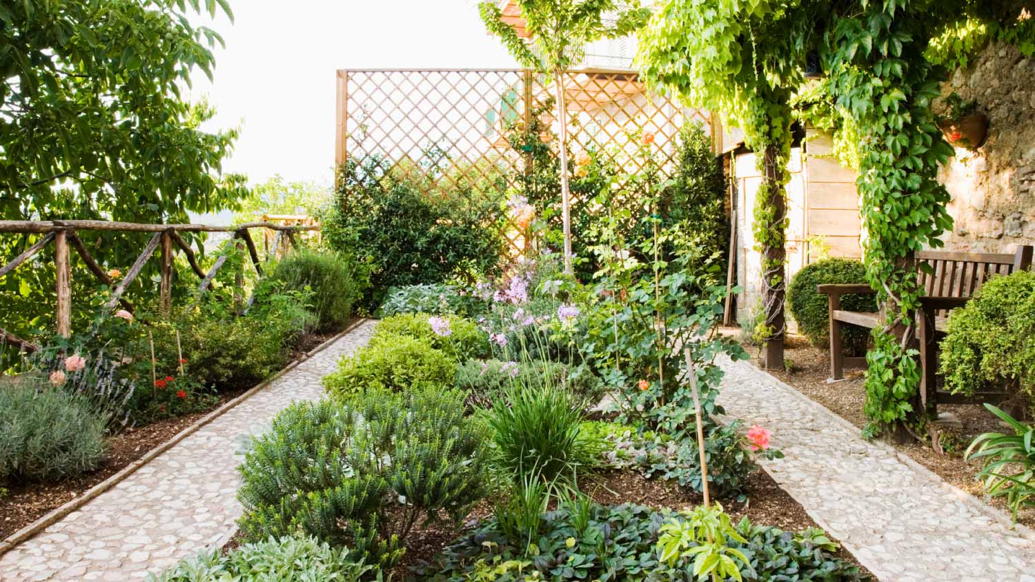 A beautiful backyard garden