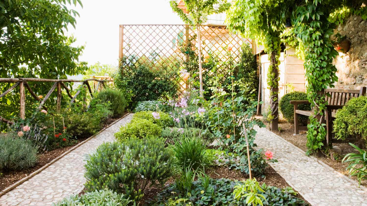 A beautiful backyard garden 