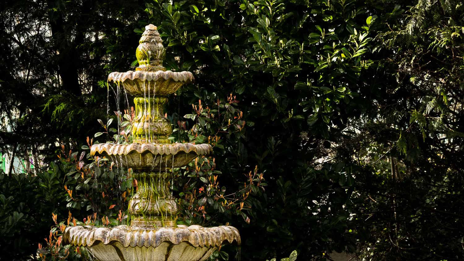 beautiful fountain in a garden