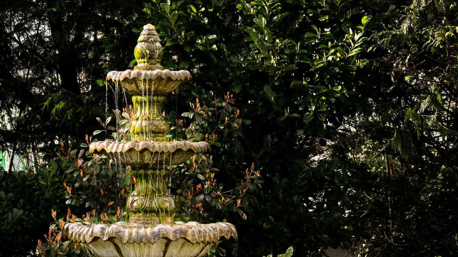 beautiful fountain in a garden 