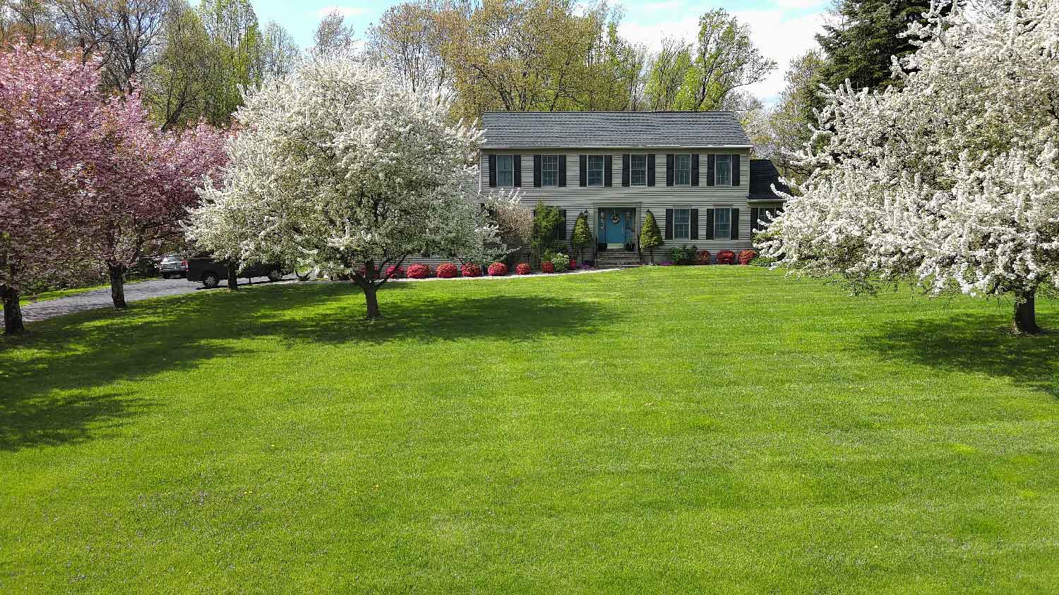 A beautiful house with a perfect lawn during spring