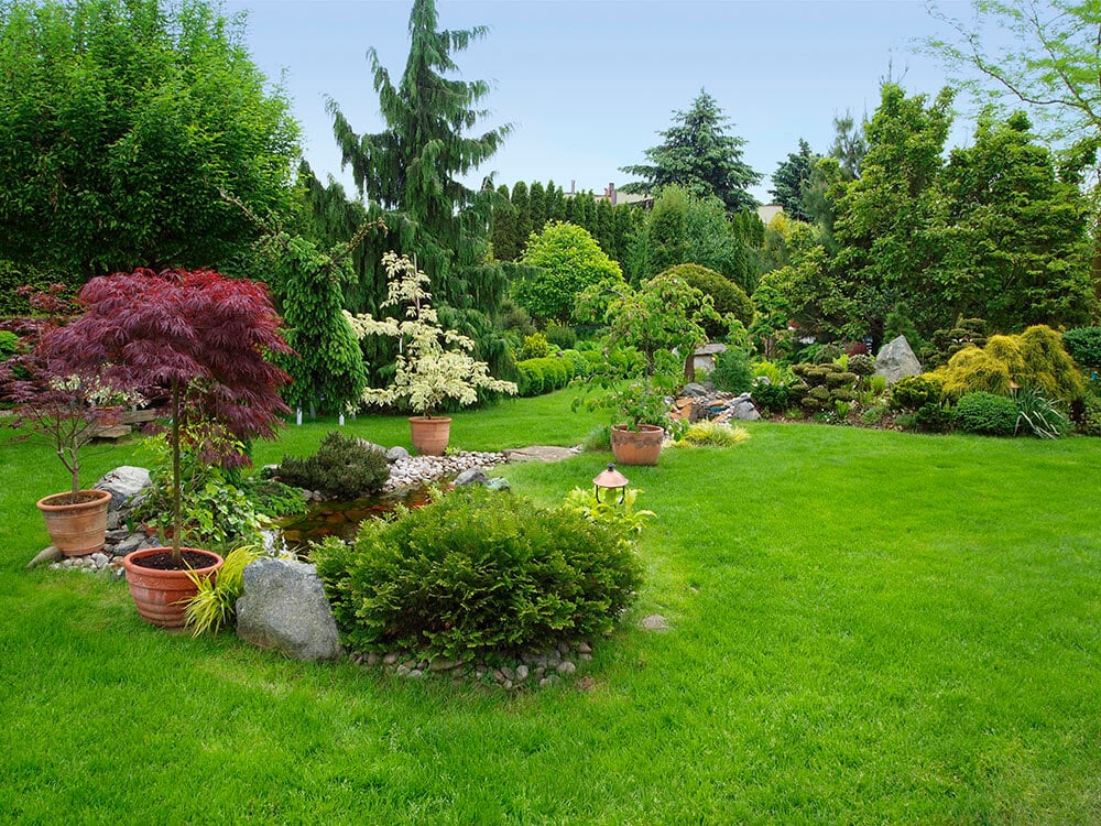 Beautifully landscaped yard