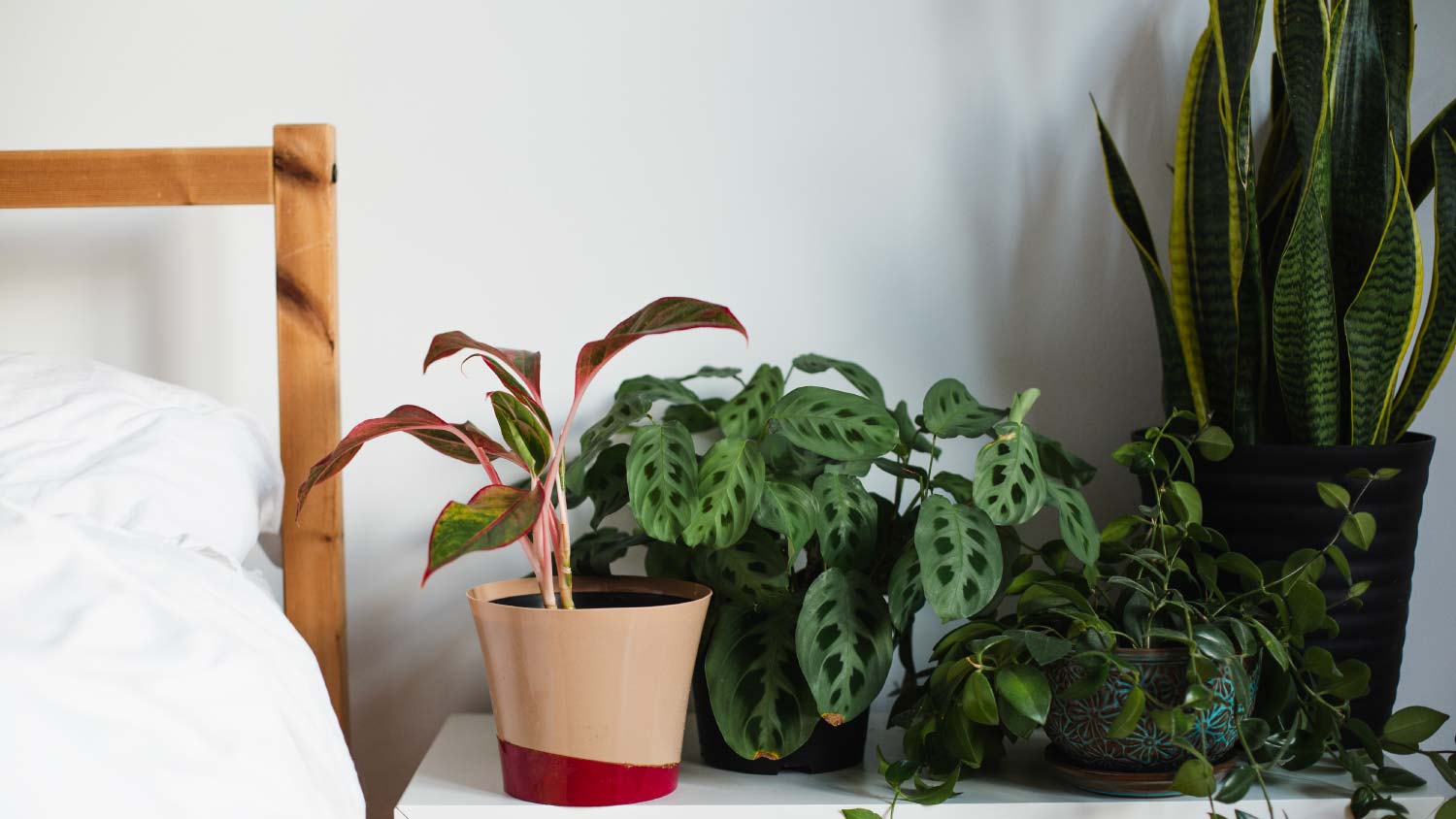 bedside table with plants