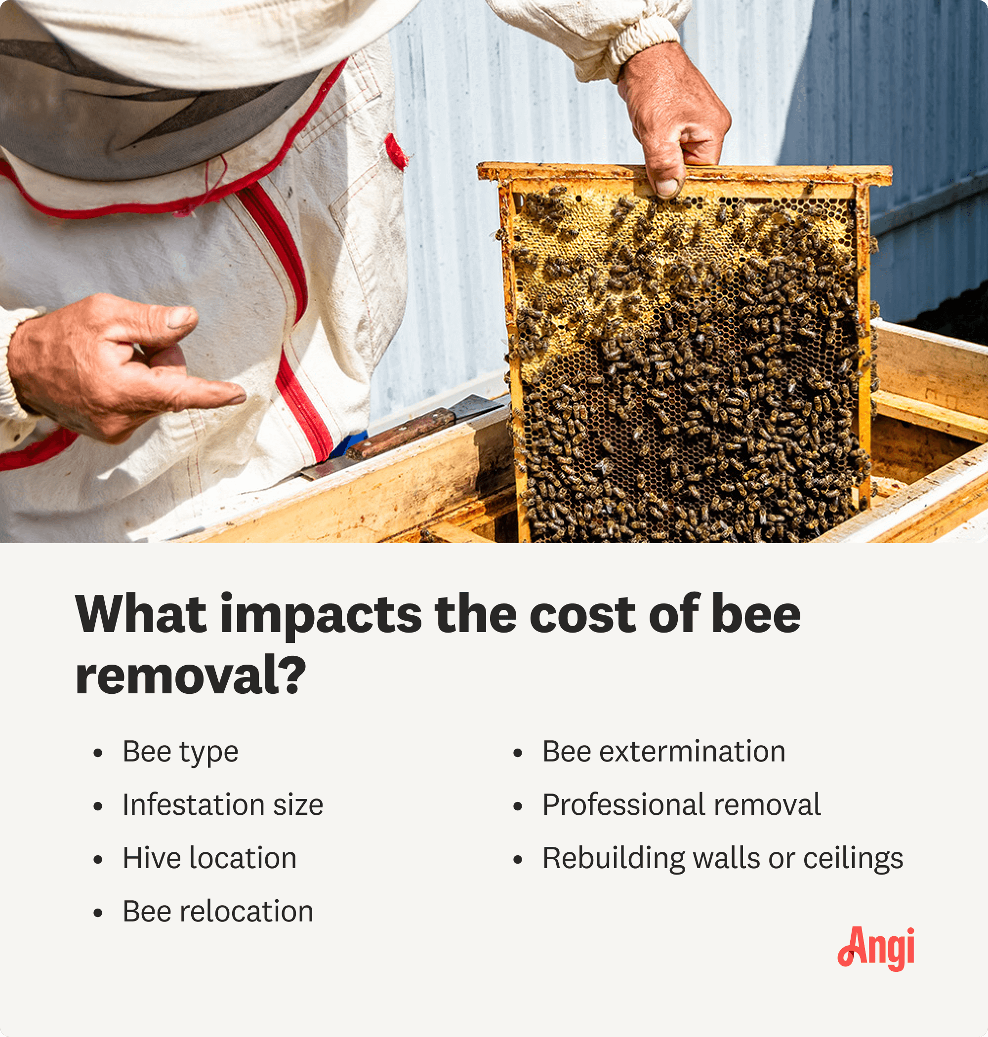 7 factors that impact the cost of bee removal, including bee type, hive location, and professional removal