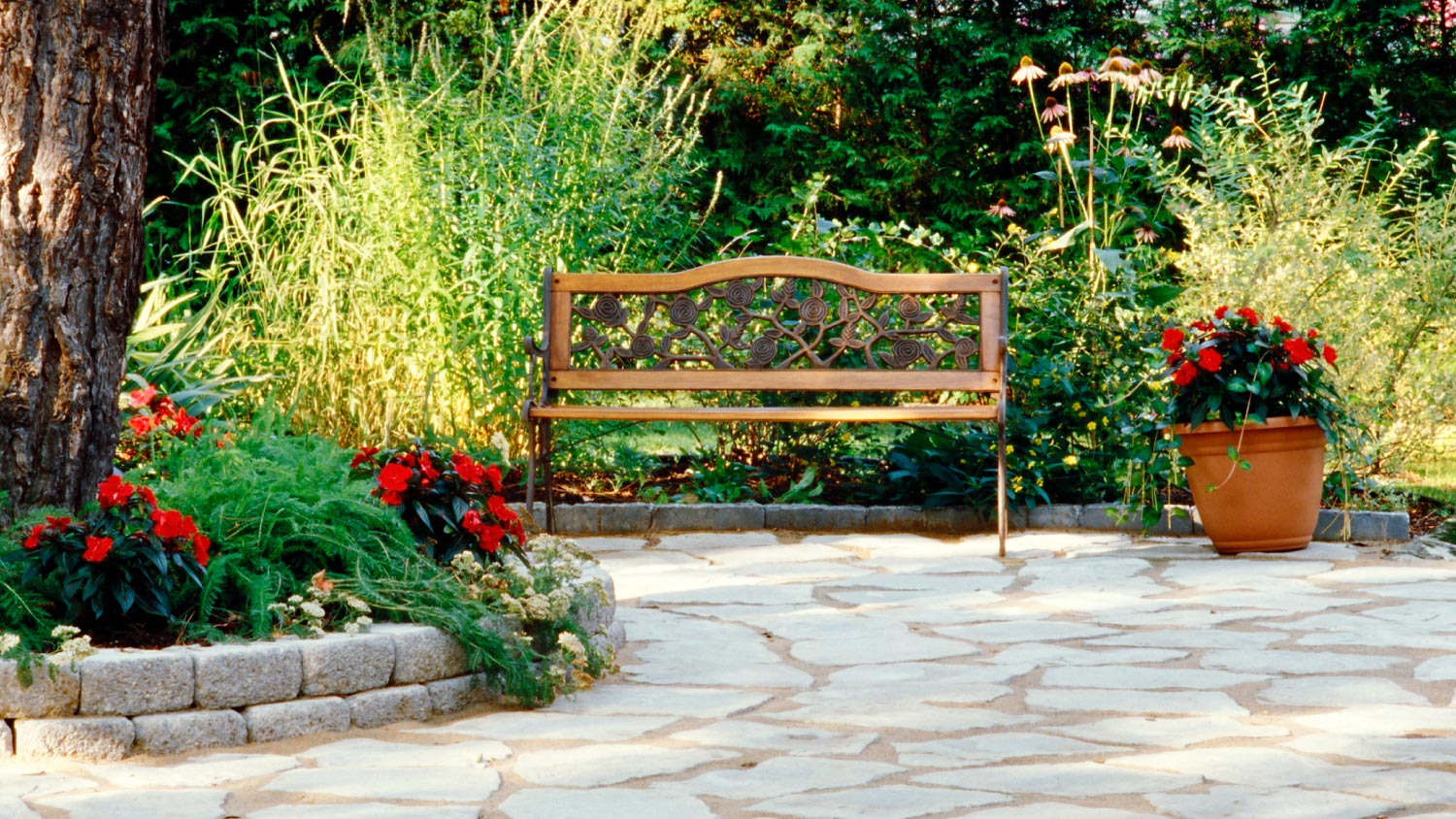 A bench in a garden