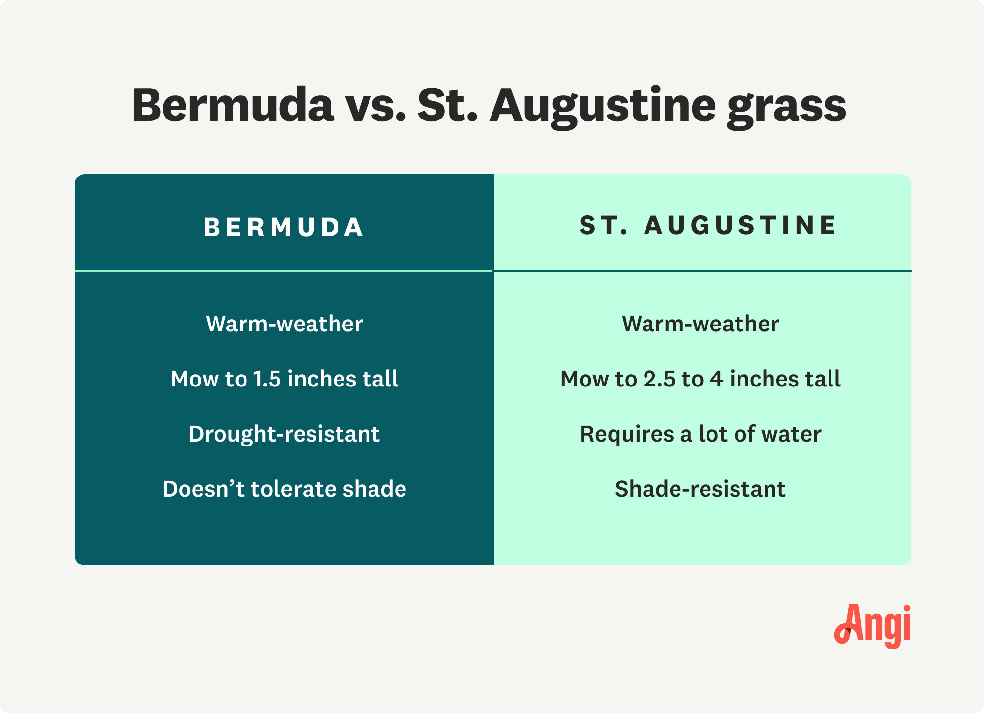 Comparison of Bermuda versus St. Augustine grass, with Bermuda being drought-resistant but doesn’t tolerate shade