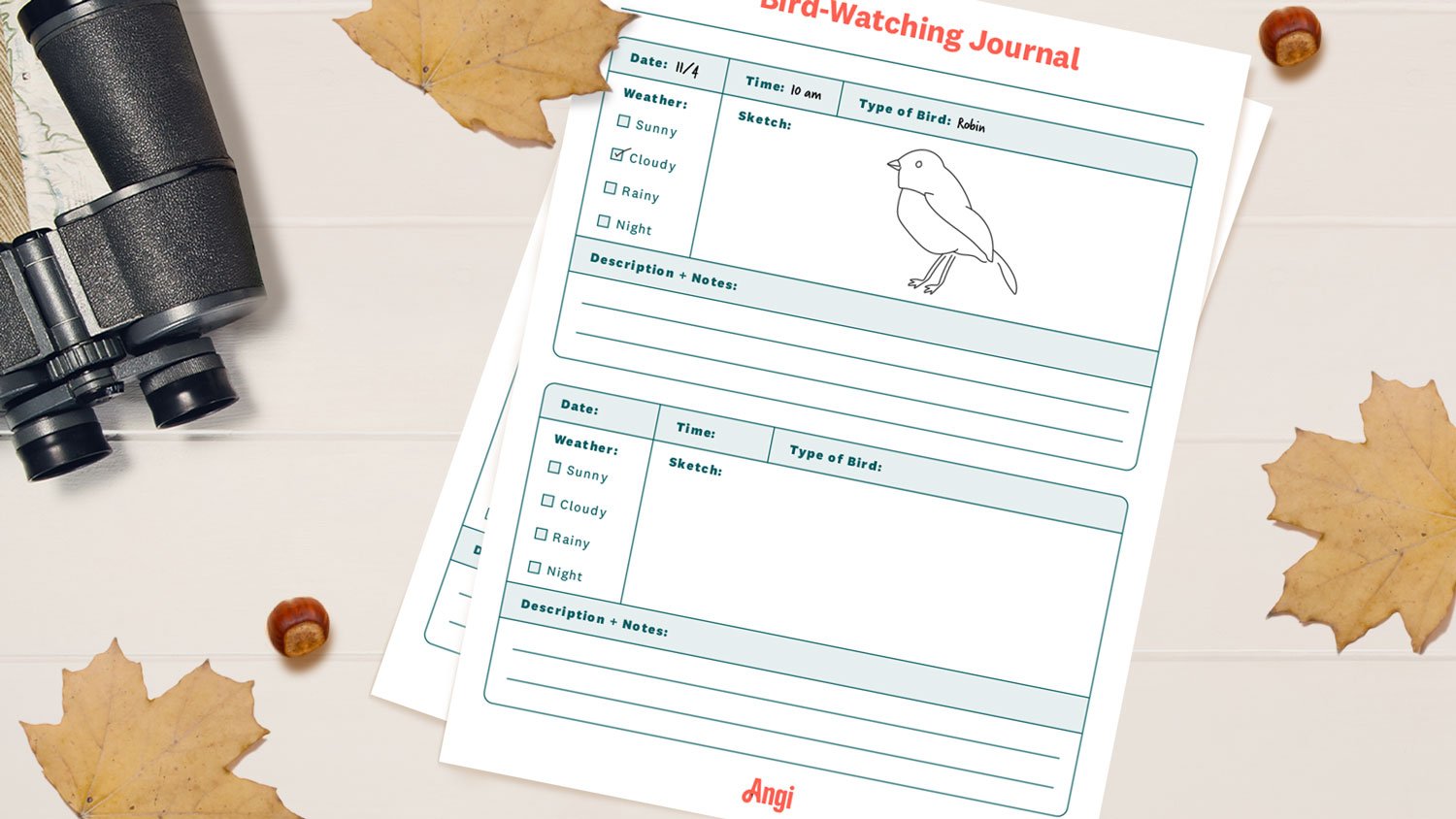 bird watching printable