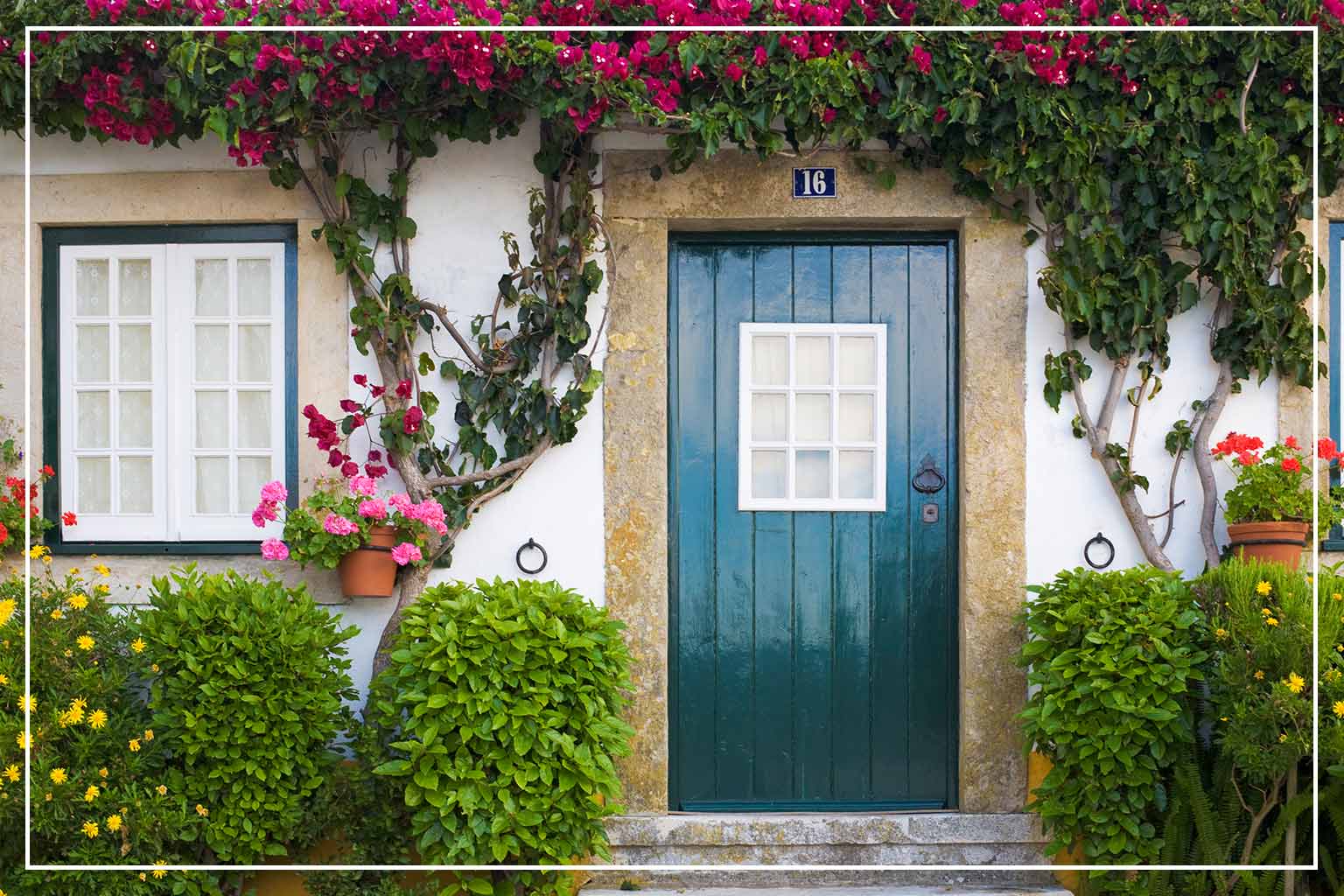 black forest green front door