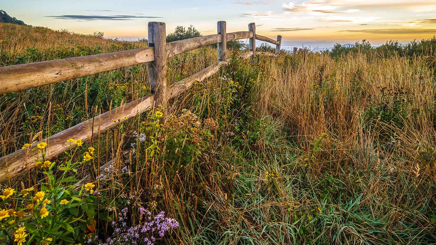 A black locust wood fence