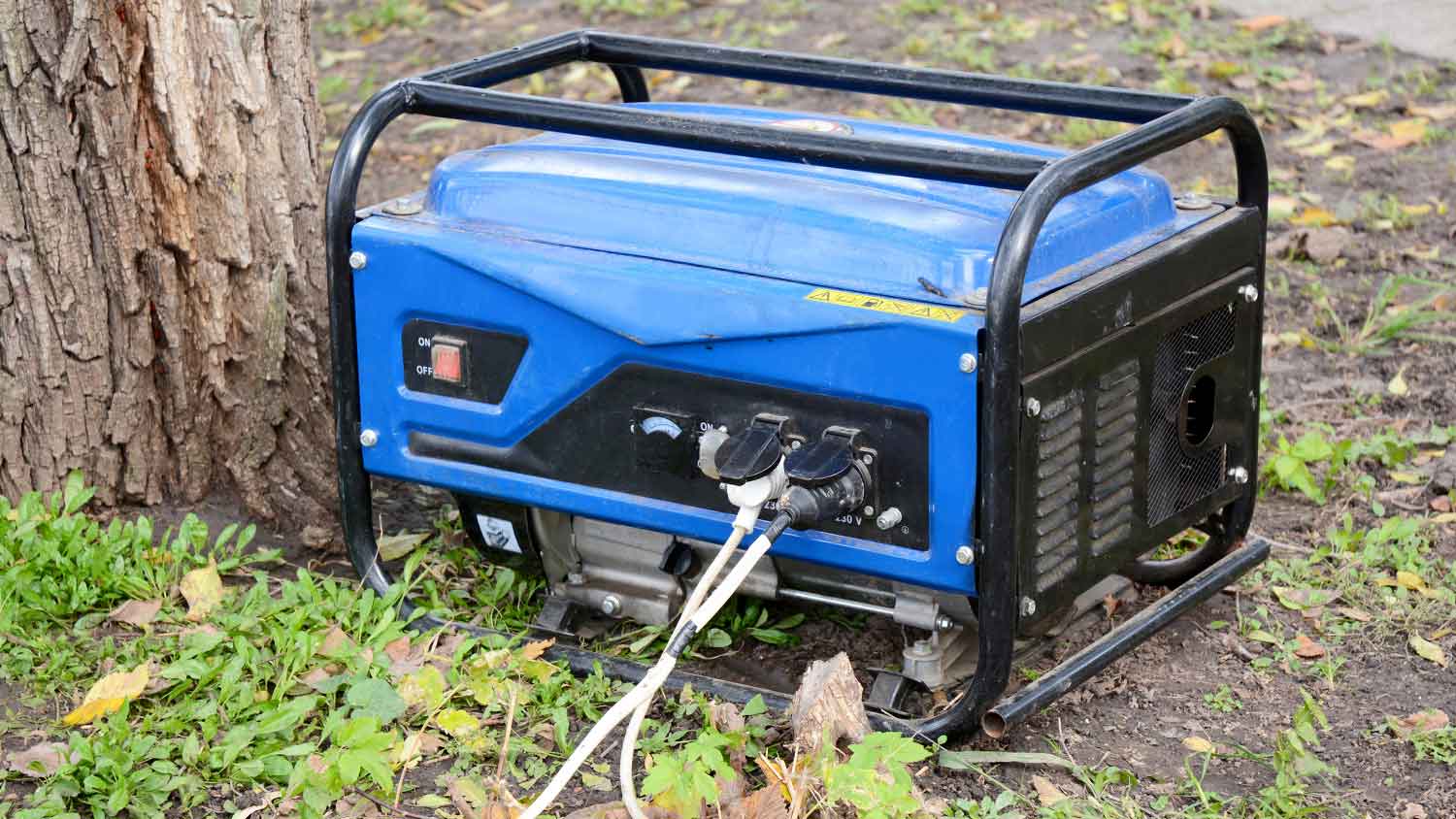 Portable electric generator sitting by a tree