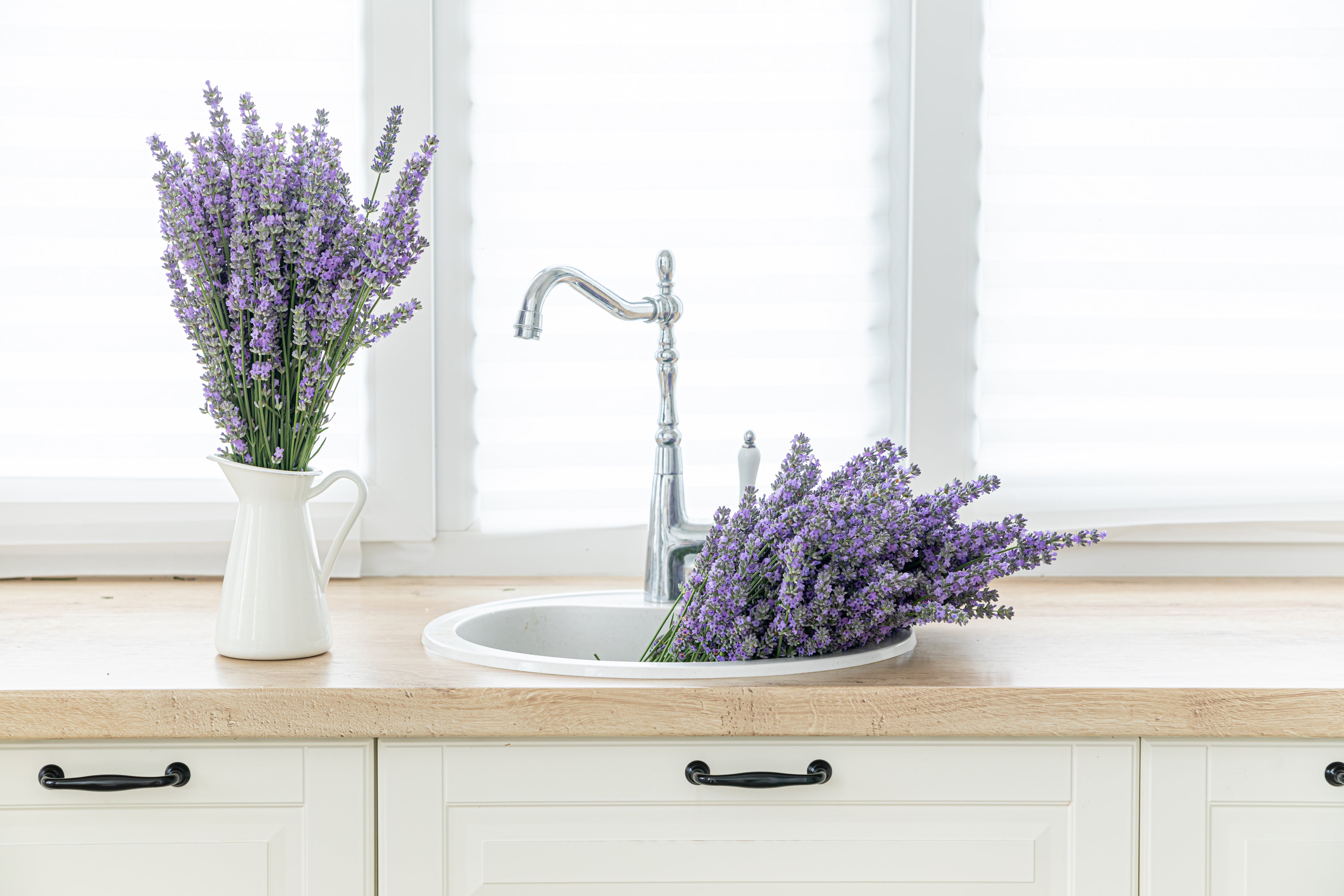 Lavender plants in luxury kitchen