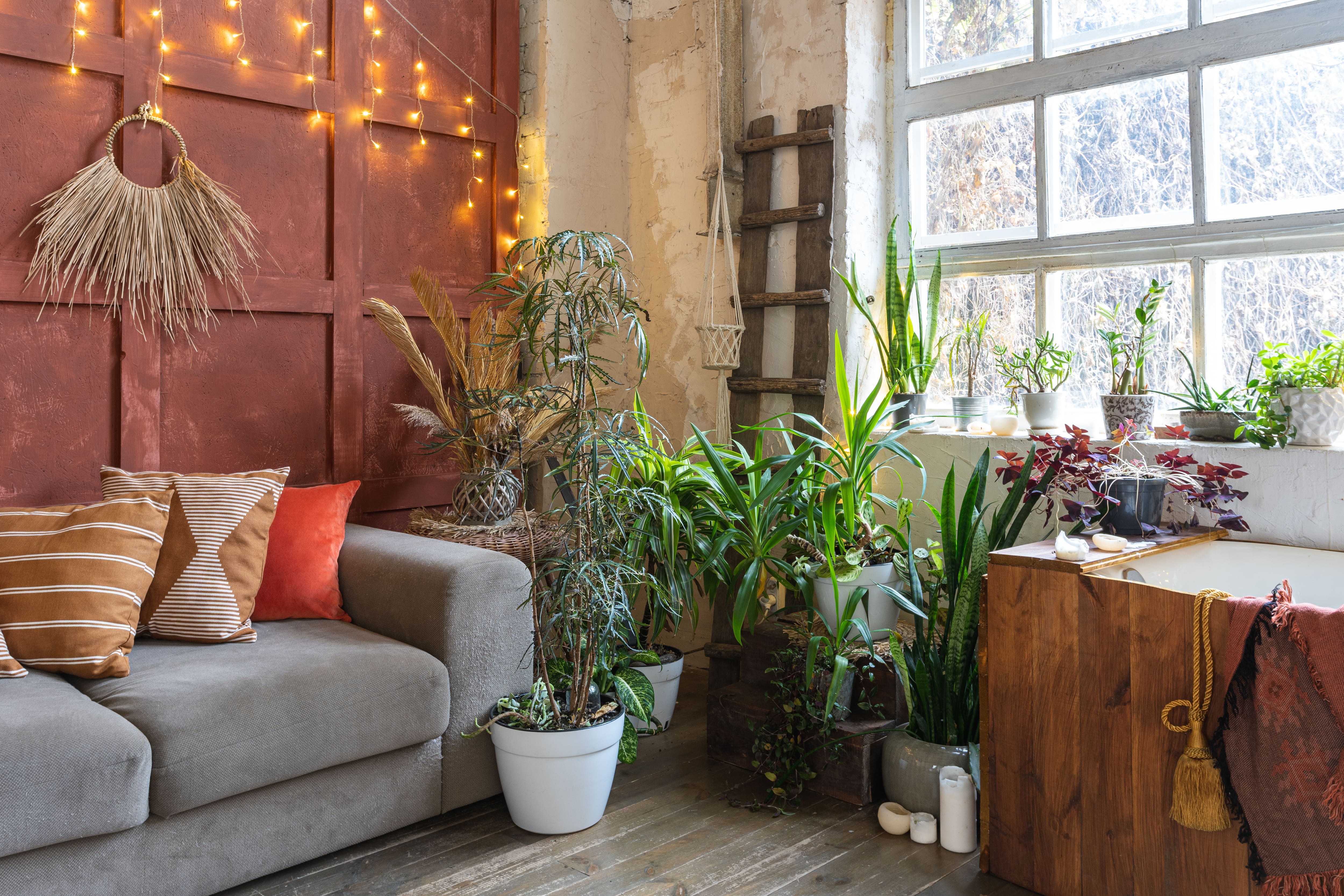 Bohemian-styled living room