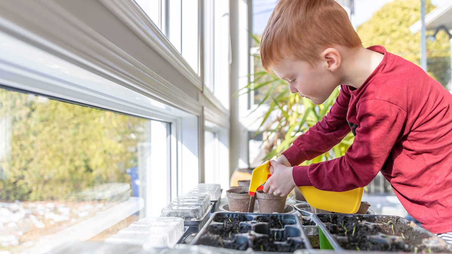 Boy watering seedlings with a spray bottle