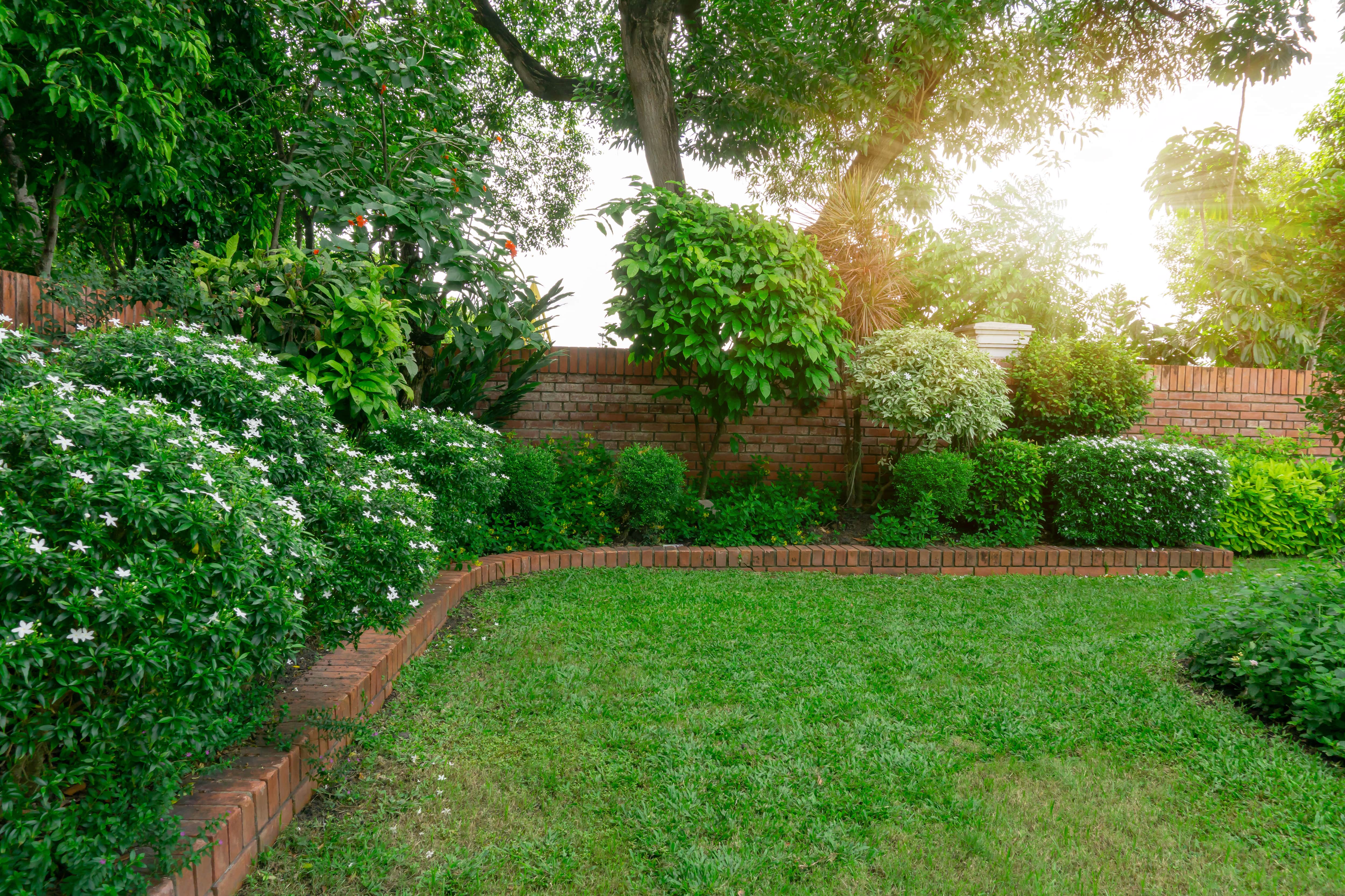 Brick wall and edging in garden
