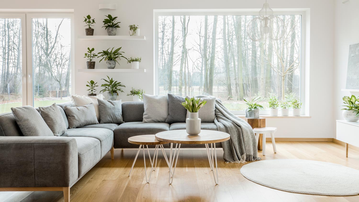 A bright living room with a white drywall