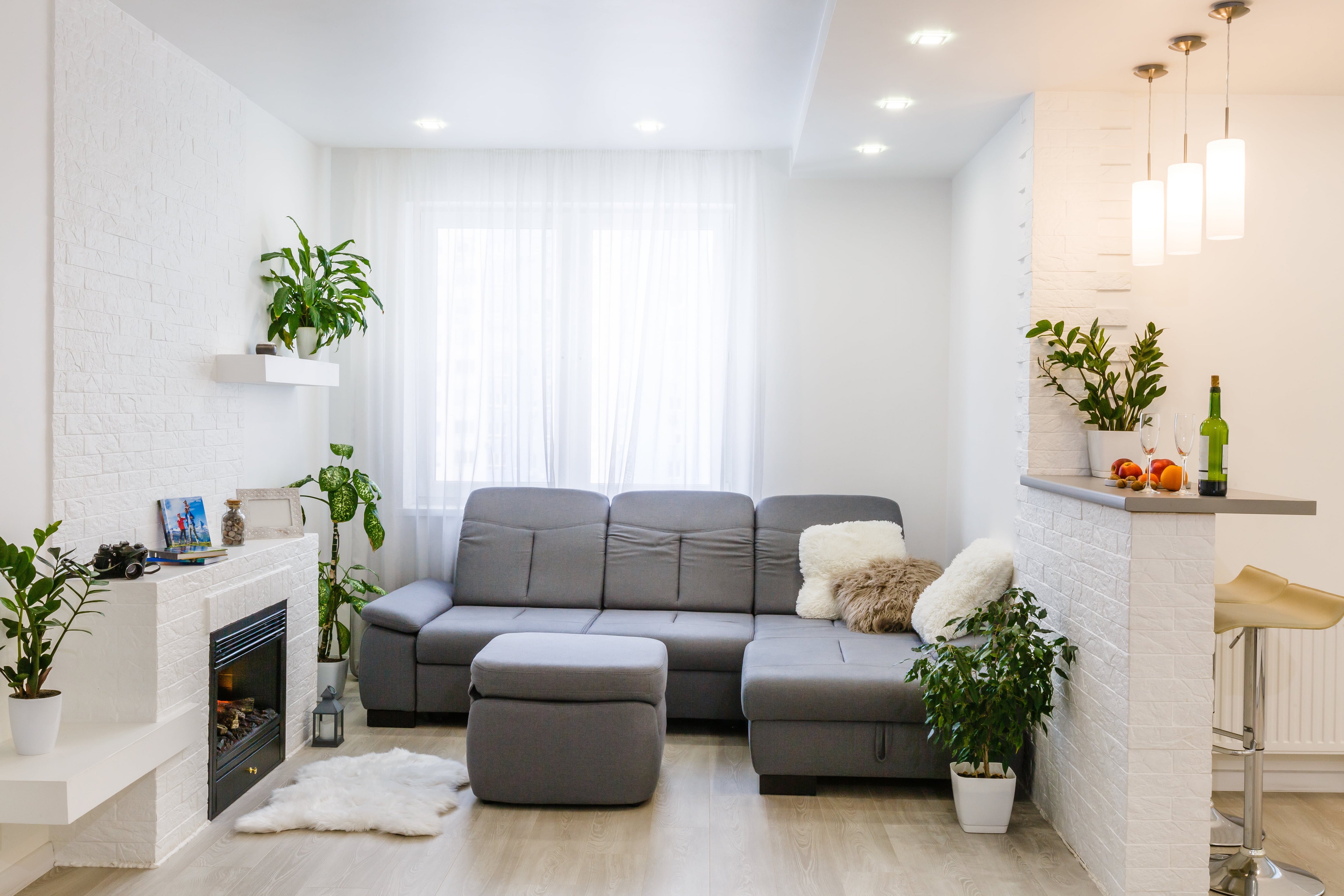Small apartment living room with greenery and a gray couch