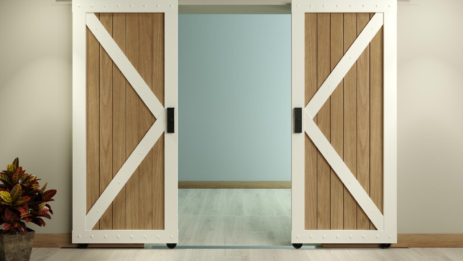 A British brace double sliding barn door 