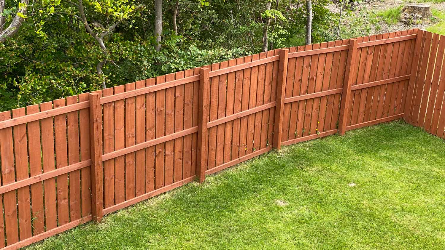 Wooden garden fence coated with medium oak colour paint