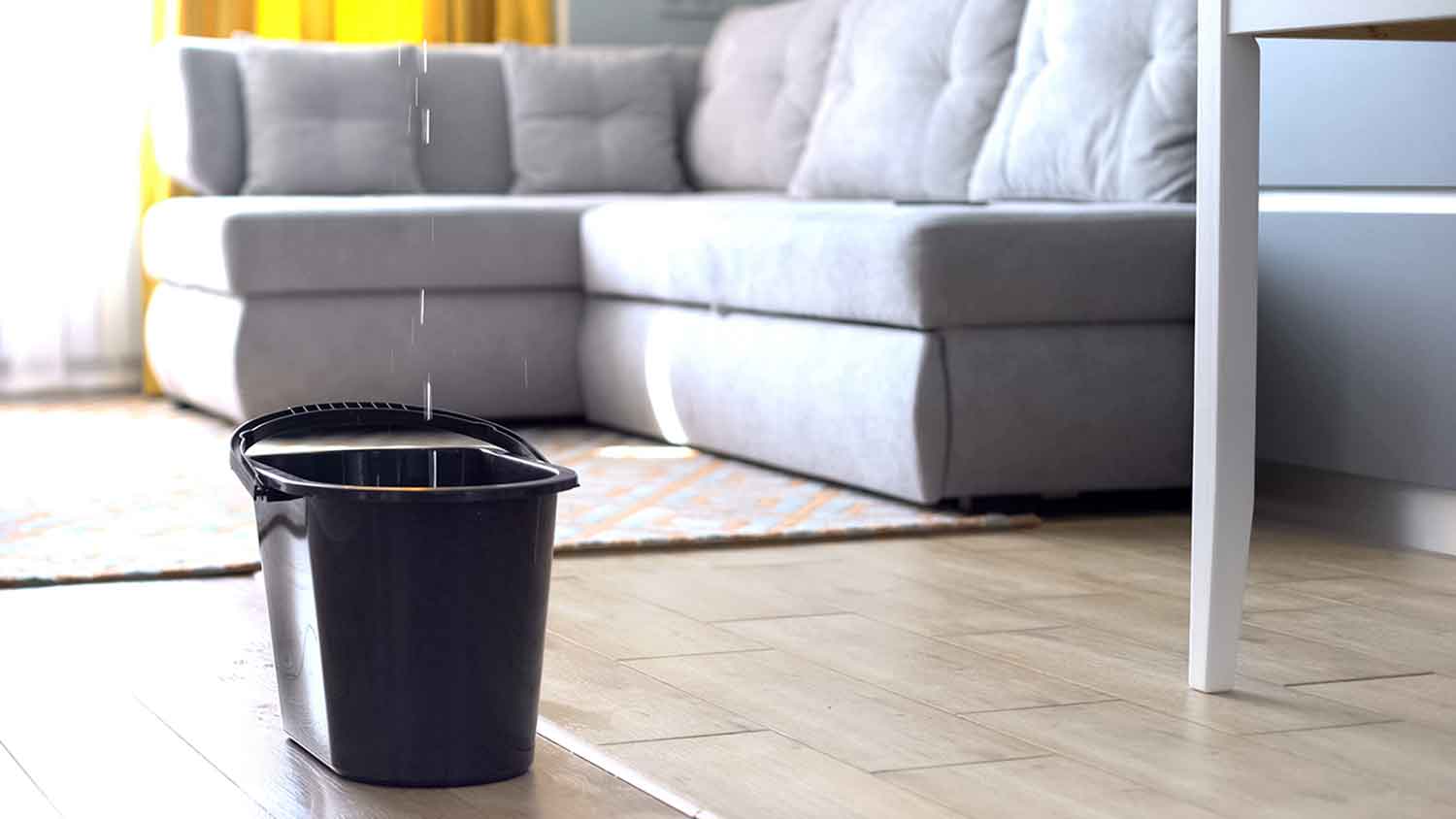 bucket on the floor catching a leak