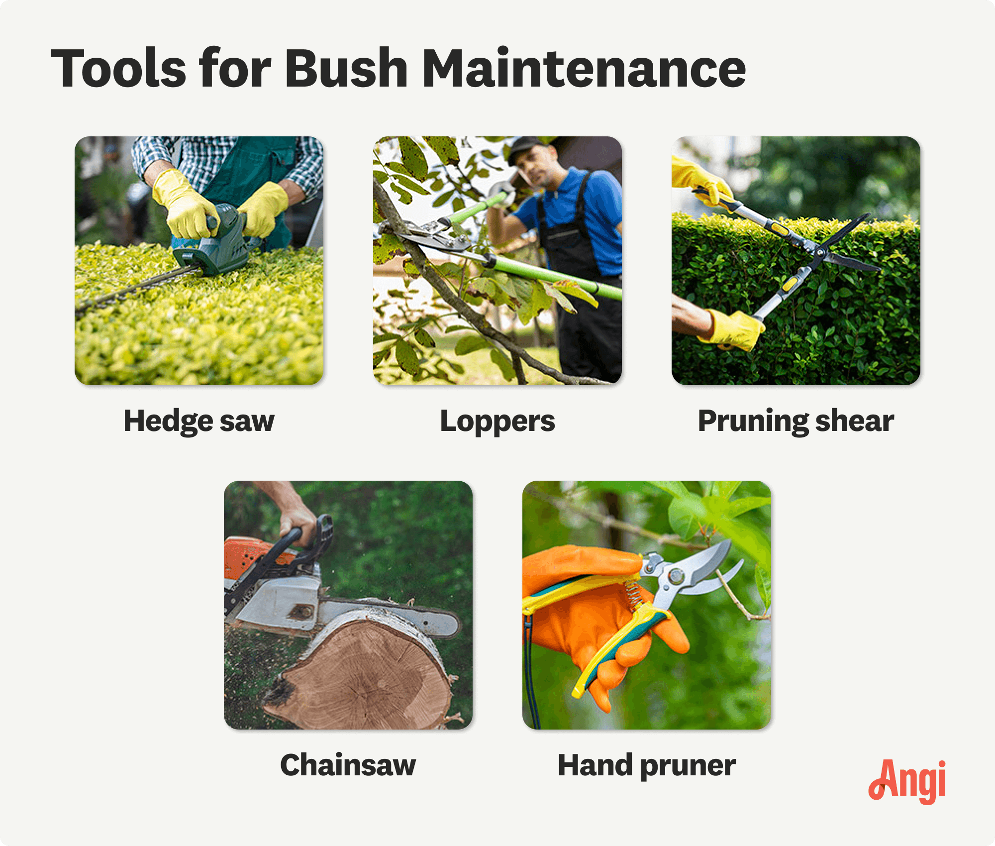 5 bush maintenance tools compared visually, including a hedge saw, chainsaw, and hand pruner