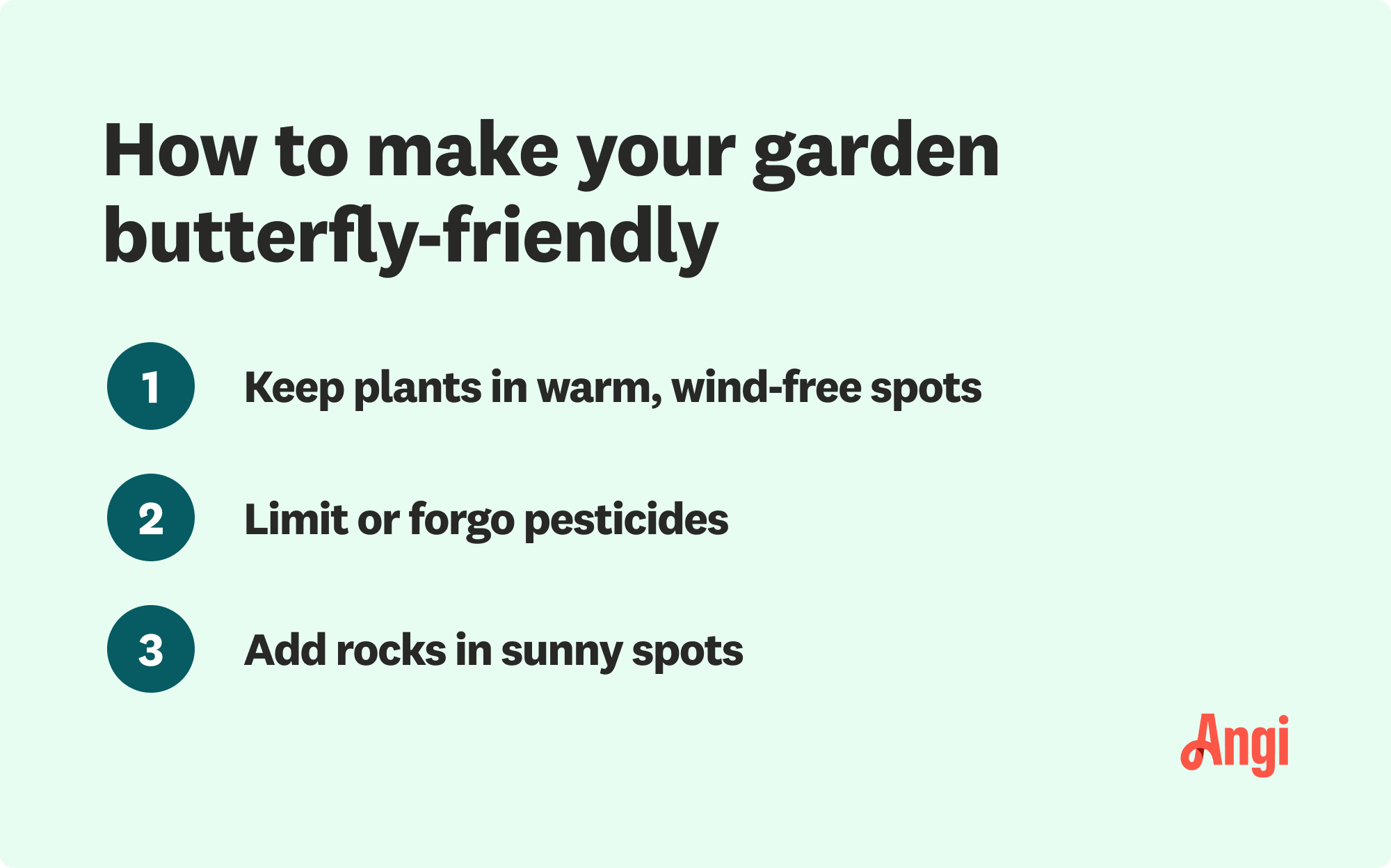 3 tips to make you garden butterfly-friendly, including adding rocks in sunny spots