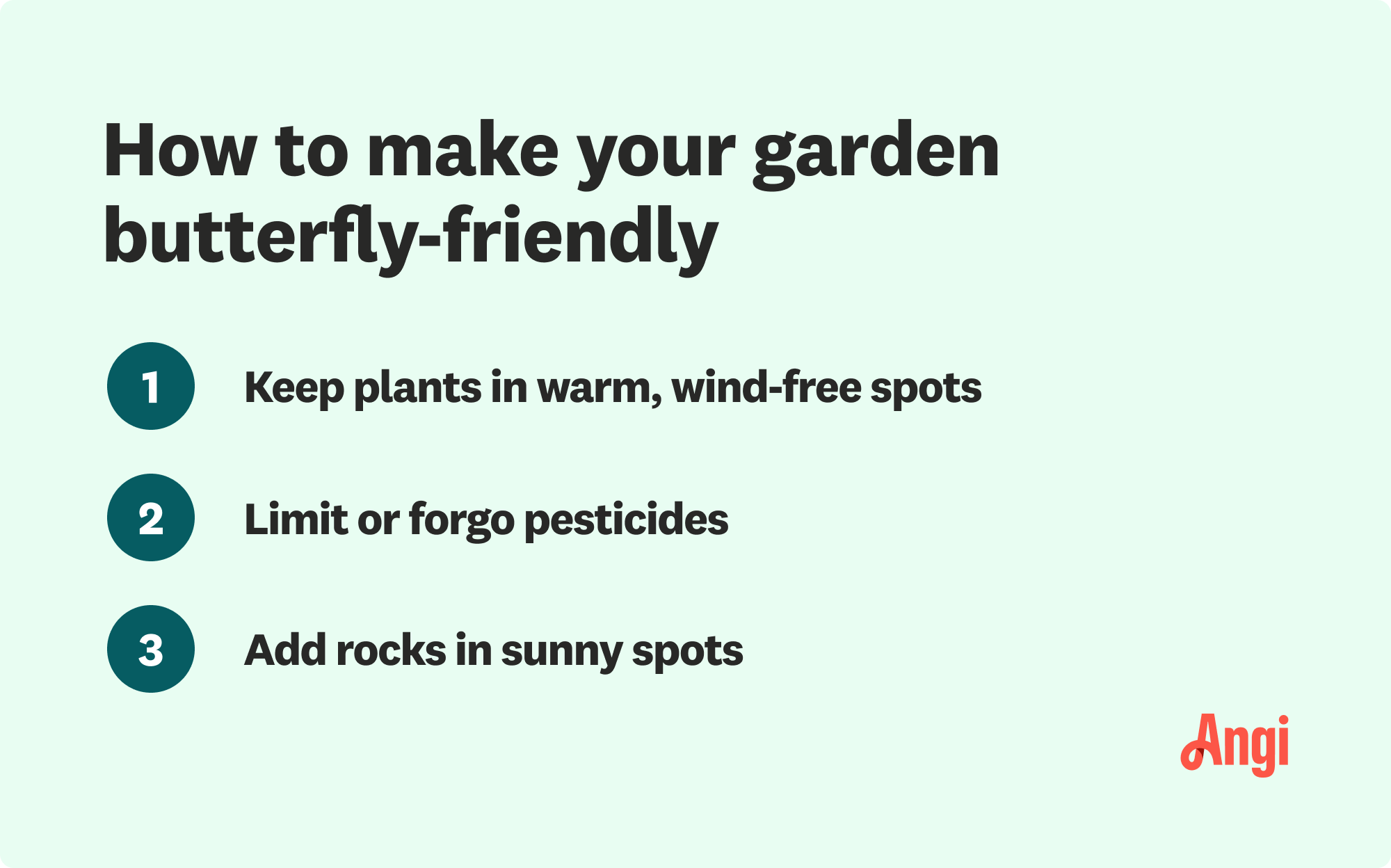  3 tips to make you garden butterfly-friendly, including adding rocks in sunny spots 