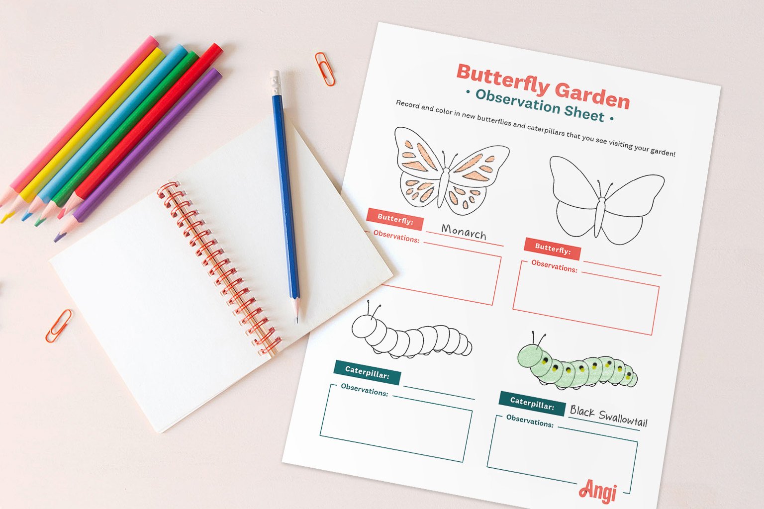 butterfly garden observation sheet