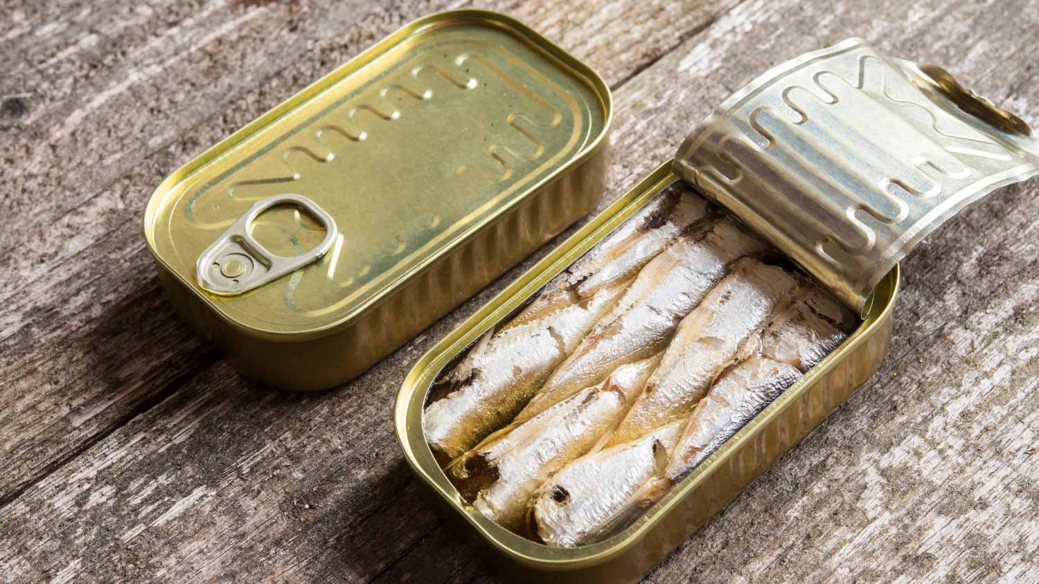 Canned sardines in olive oil