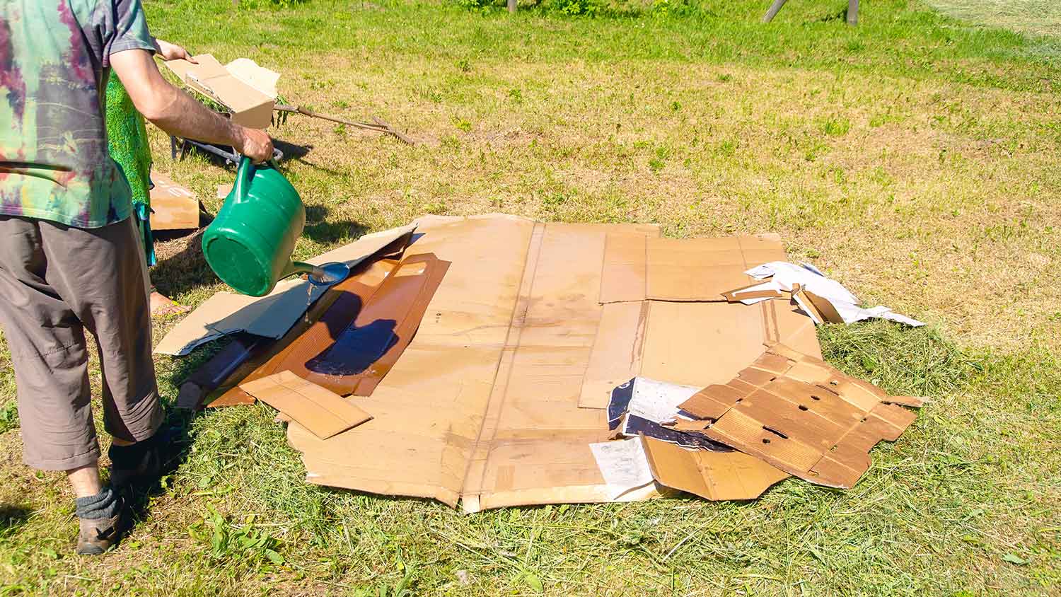 Soaking cardboard with water to use it for mulch