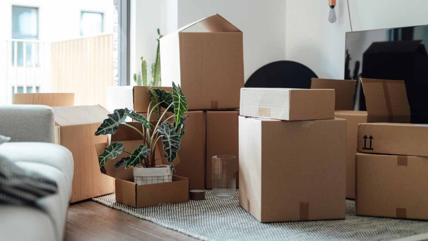 Cardboard boxes in the living room