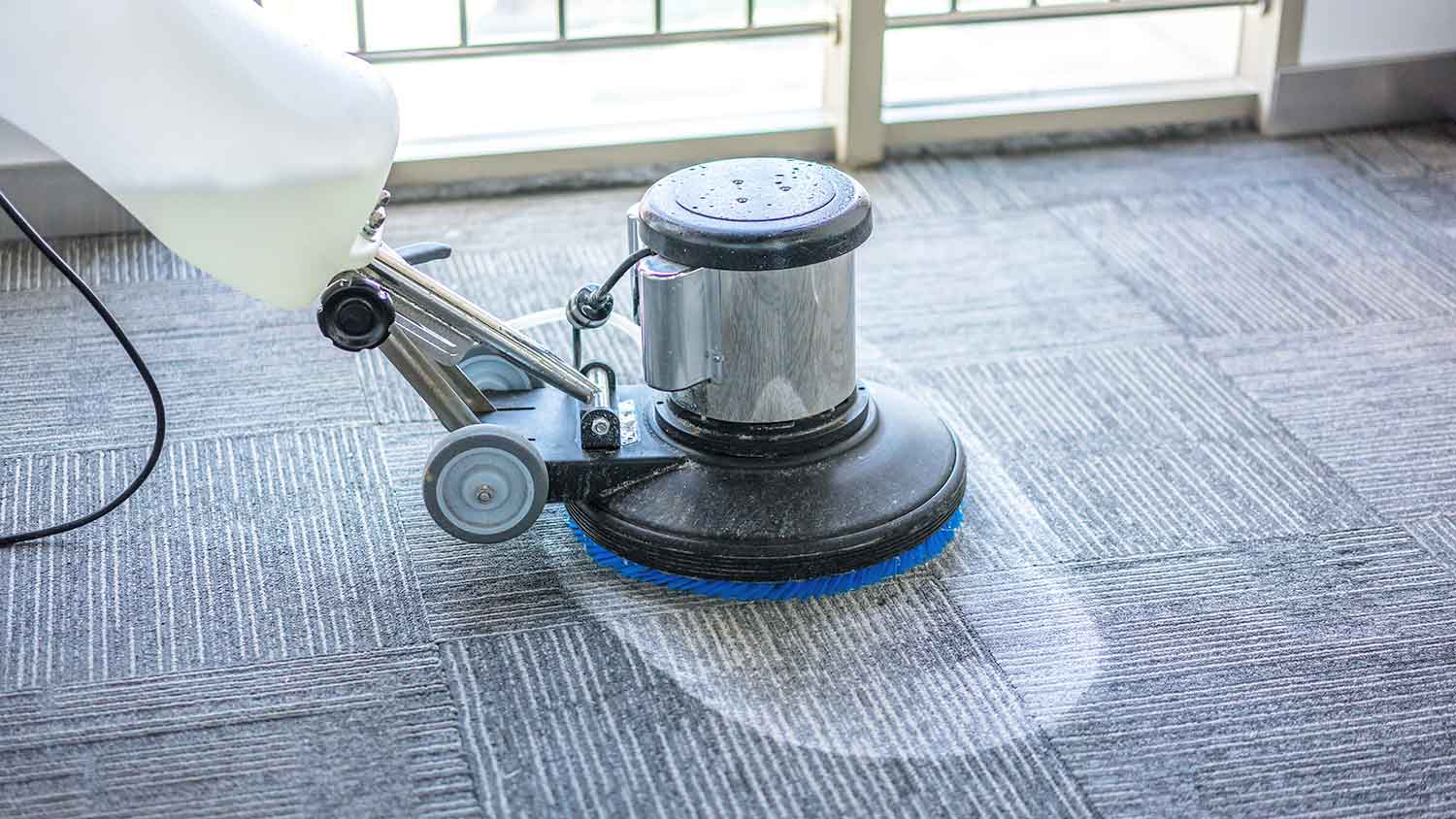 Carpet shampooing machine cleaning carpet