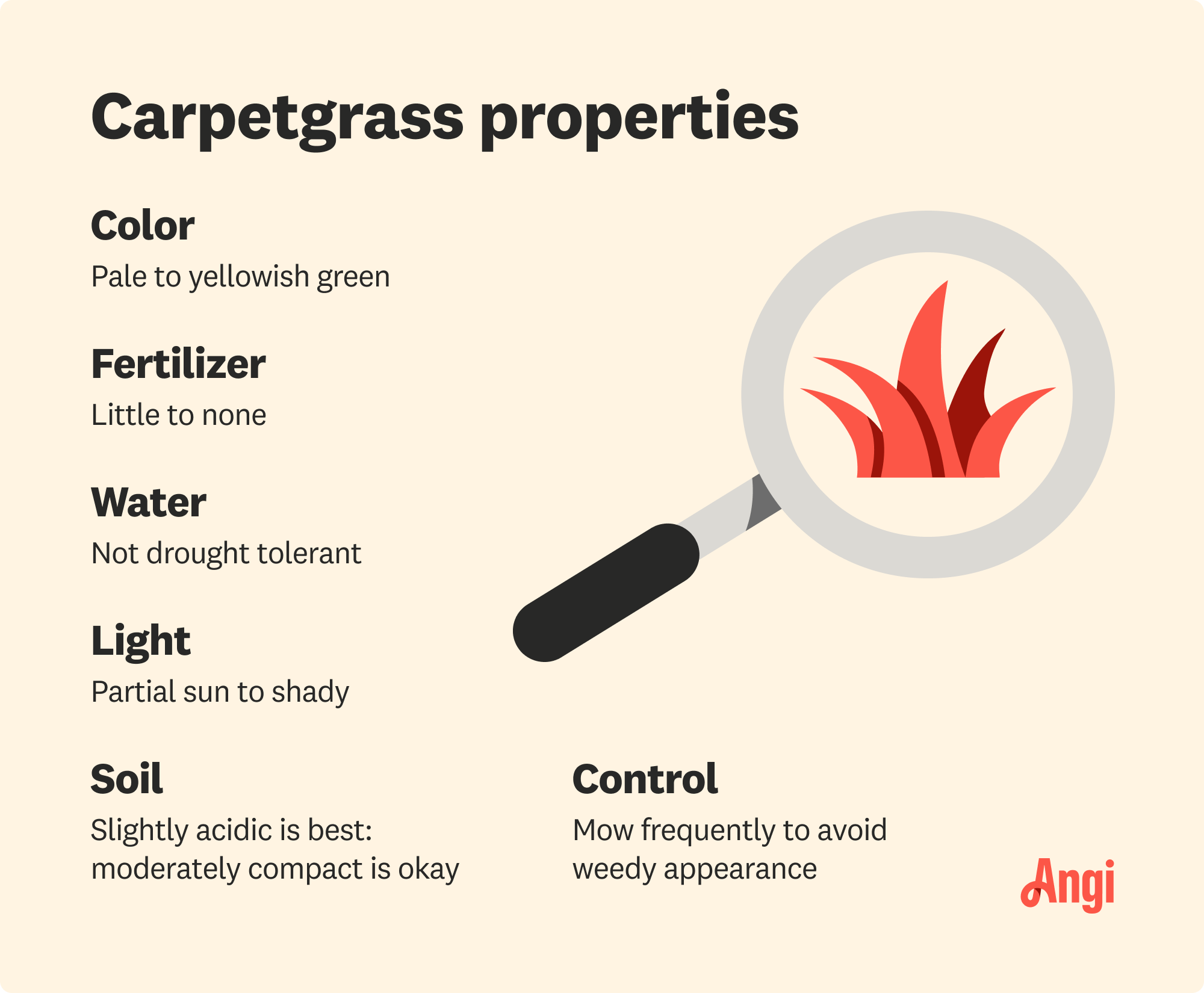 6 carpetgrass properties, including color, soil, and control