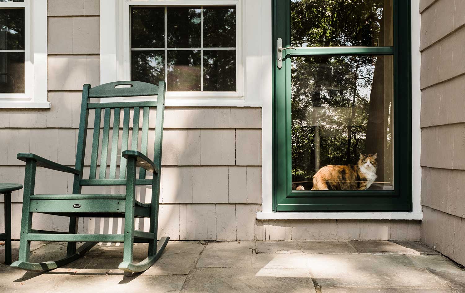 Cat looking out a storm door