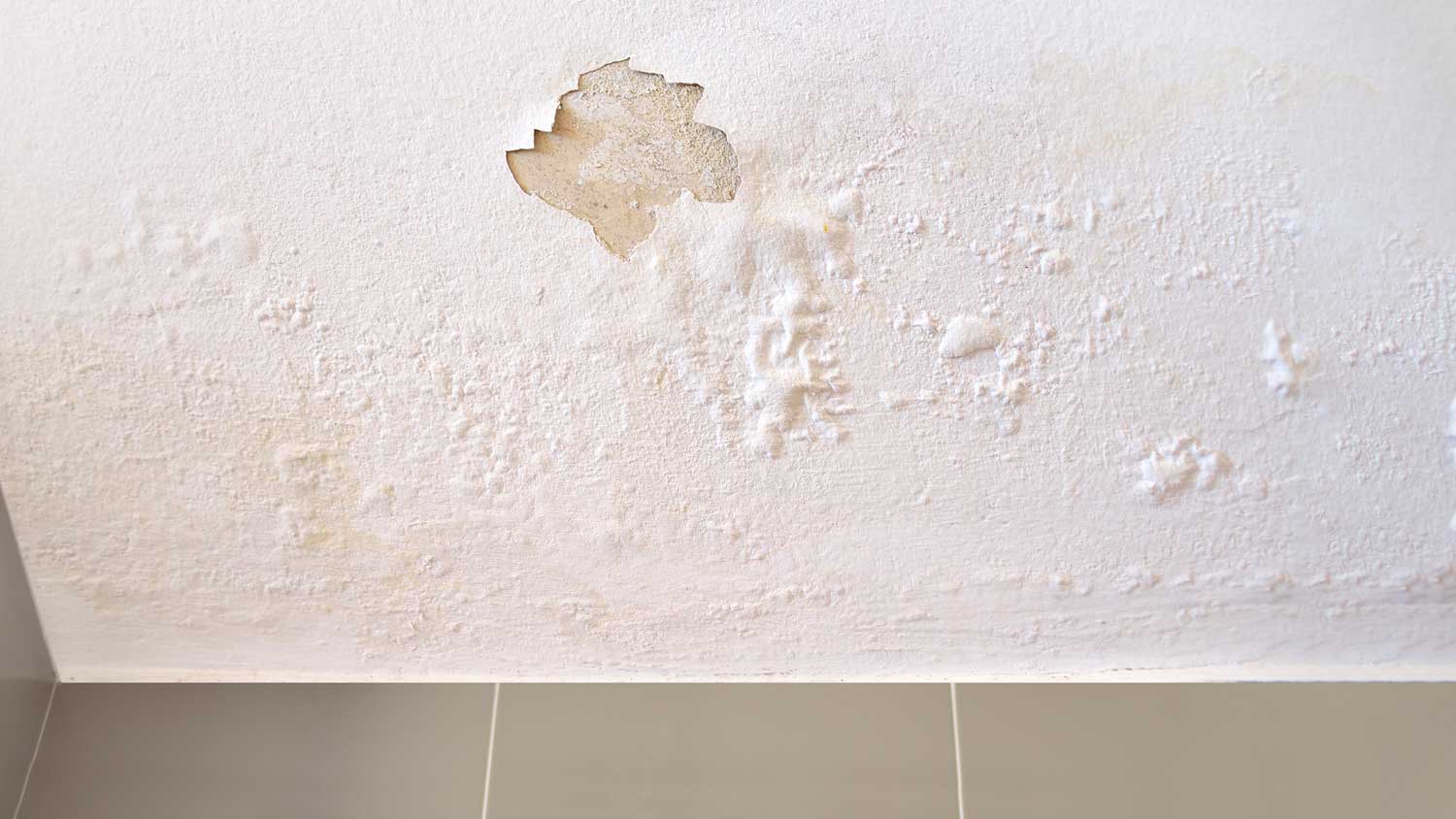 Ceiling bubbling from water leak