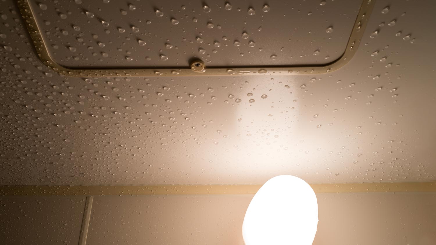 Ceiling with condensation