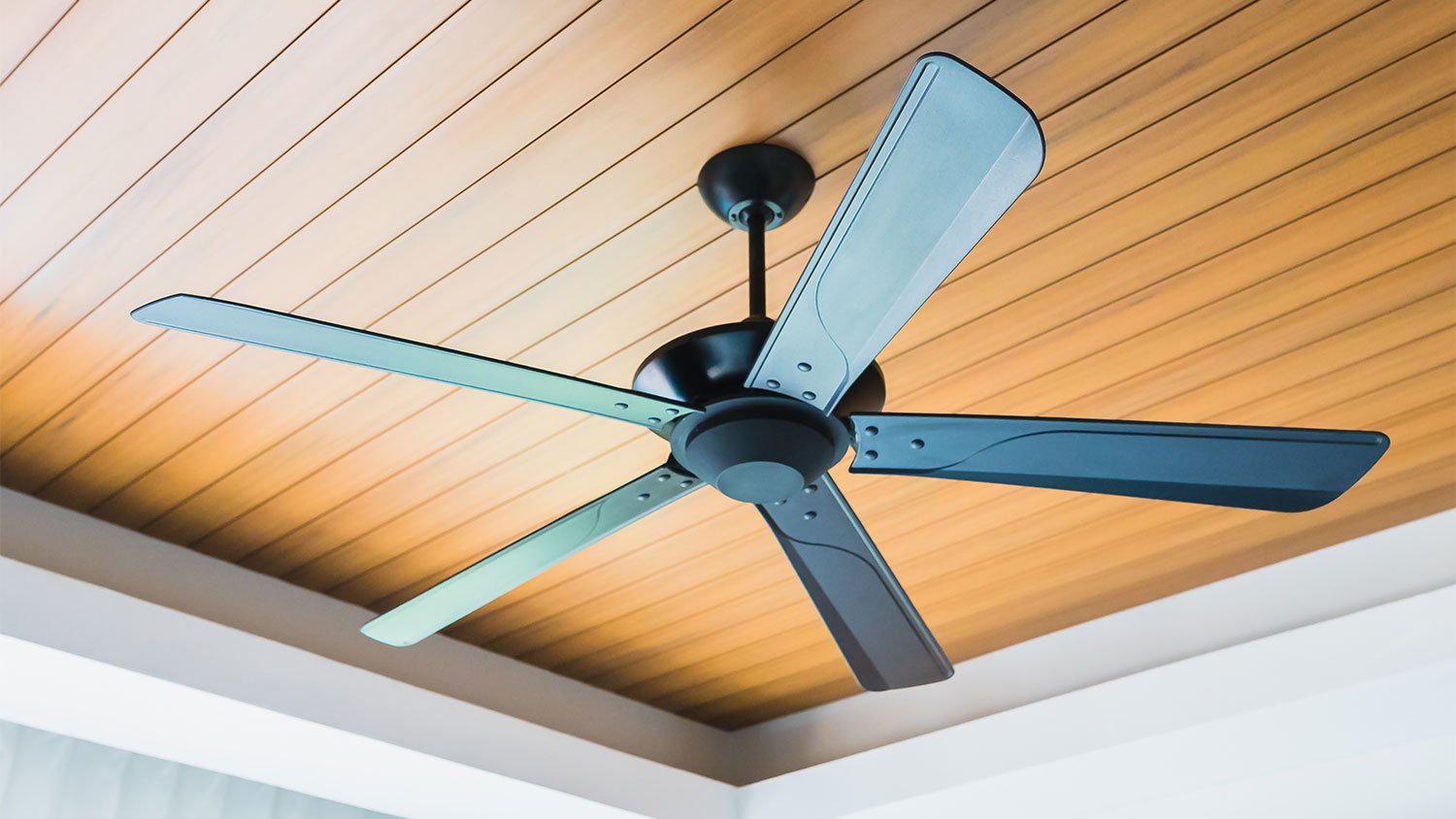 A view of a ceiling fan