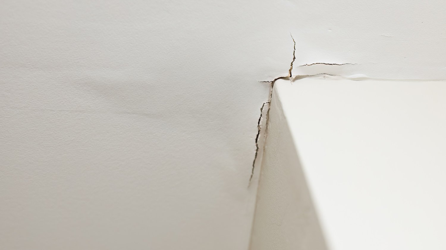 Ceiling Damaged By Water From Roof Leak