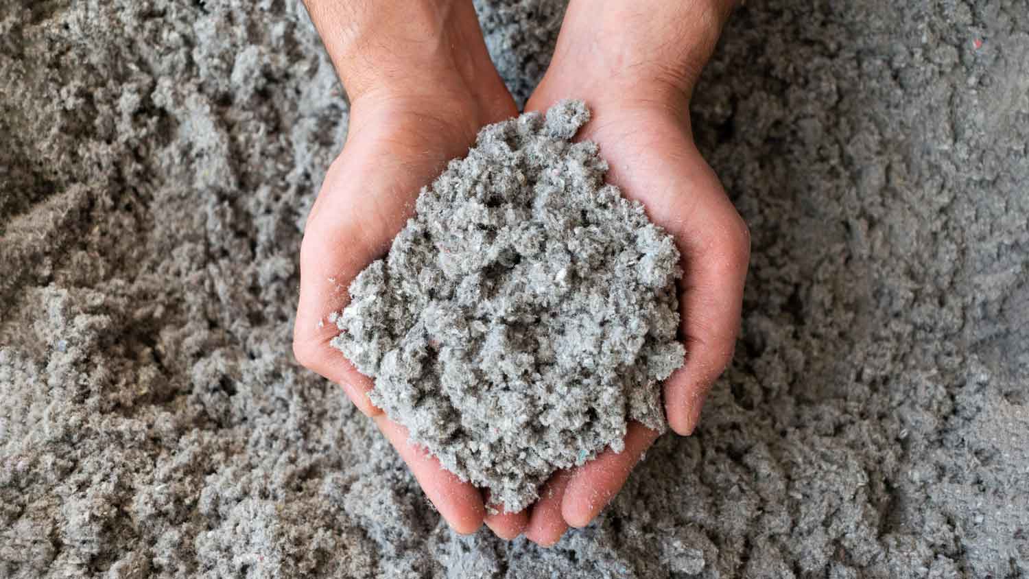 man holding cellulose insulation filling in hand 