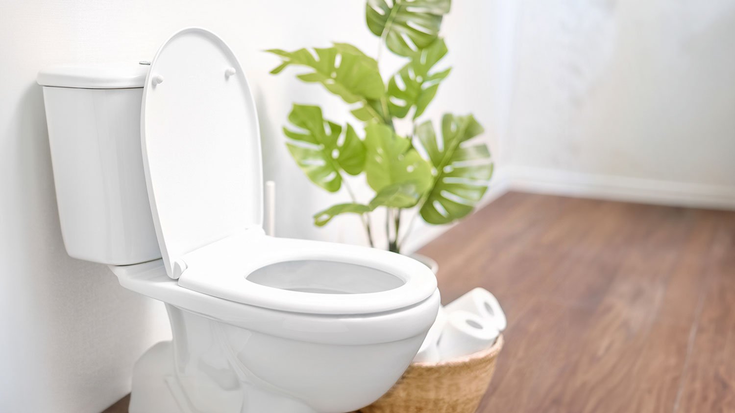 Pittsburgh toilet in a room with a plant and a basket  