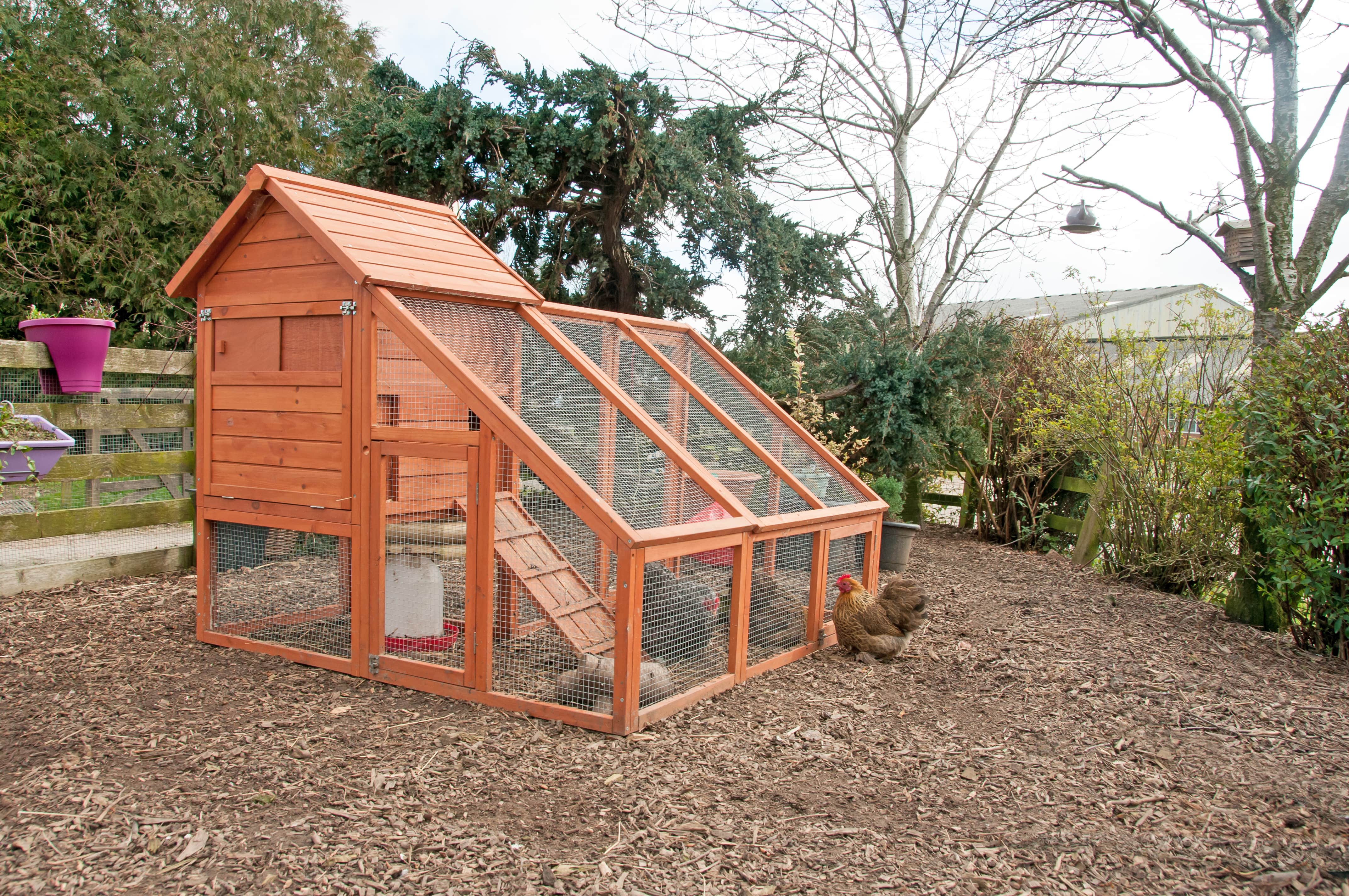 A large wooden chicken coop with a light colored stain