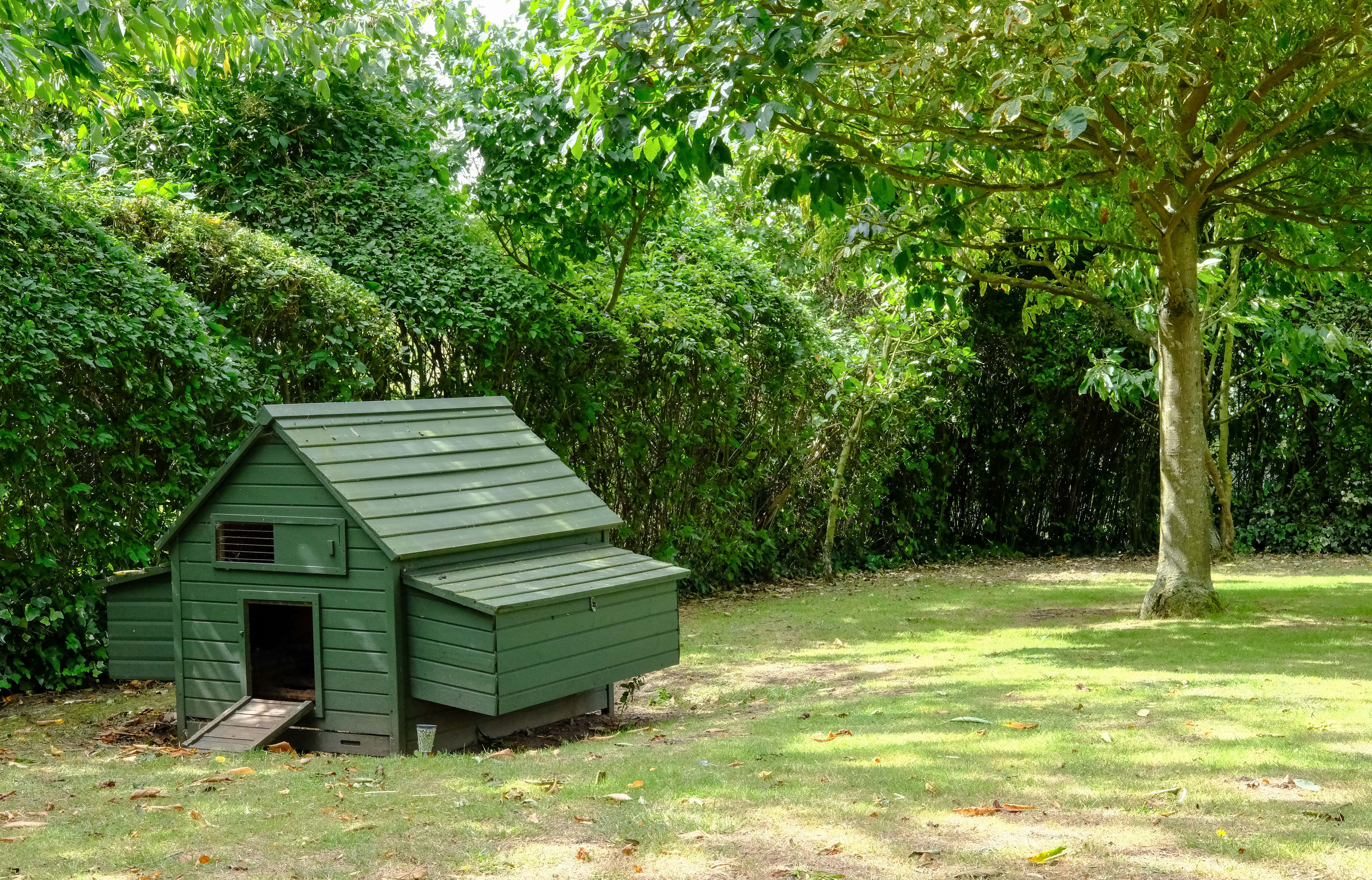 A dark green colored chicken coop