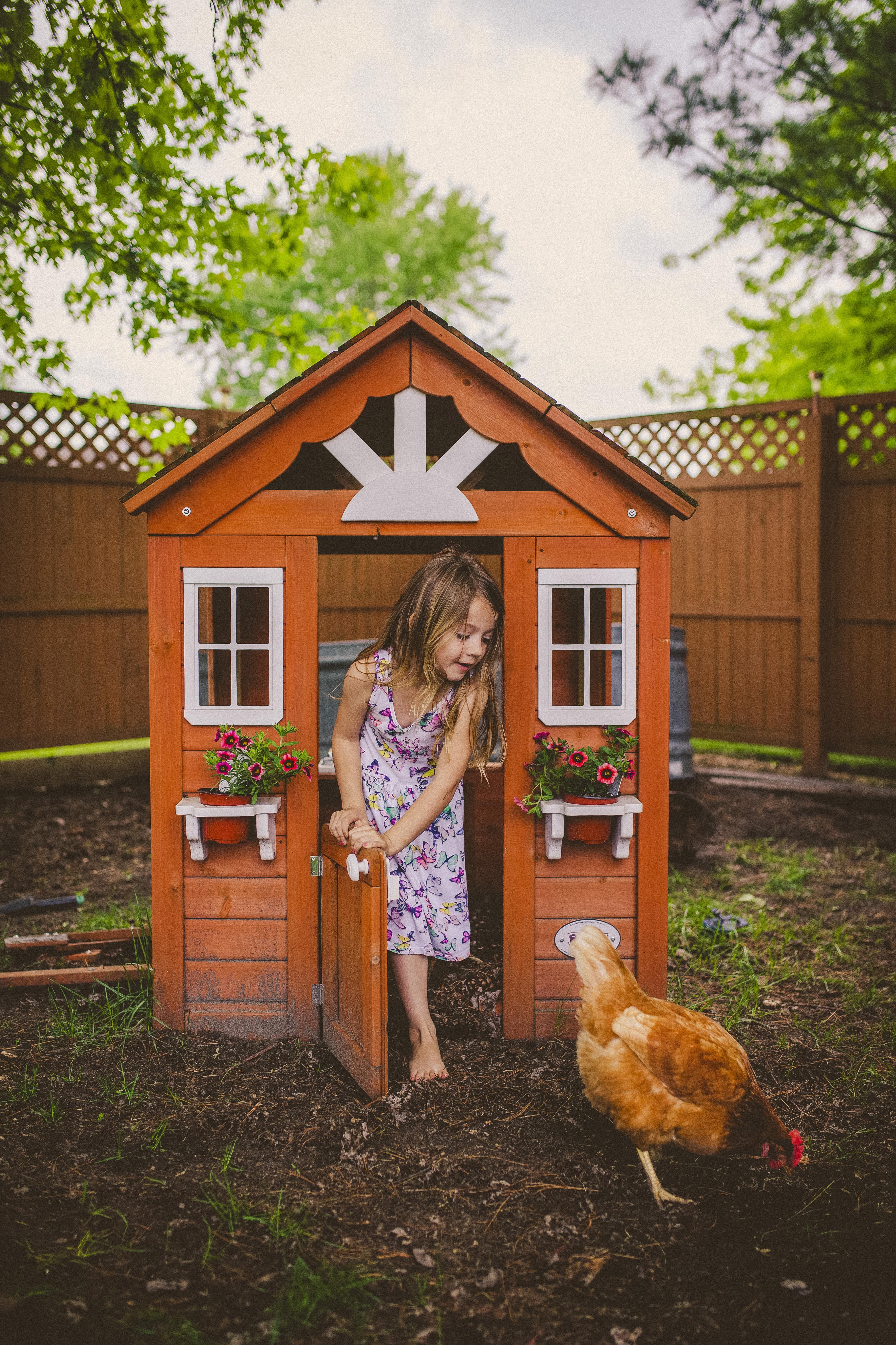 A young girl and a chicken in front of a playhouse chicken coop