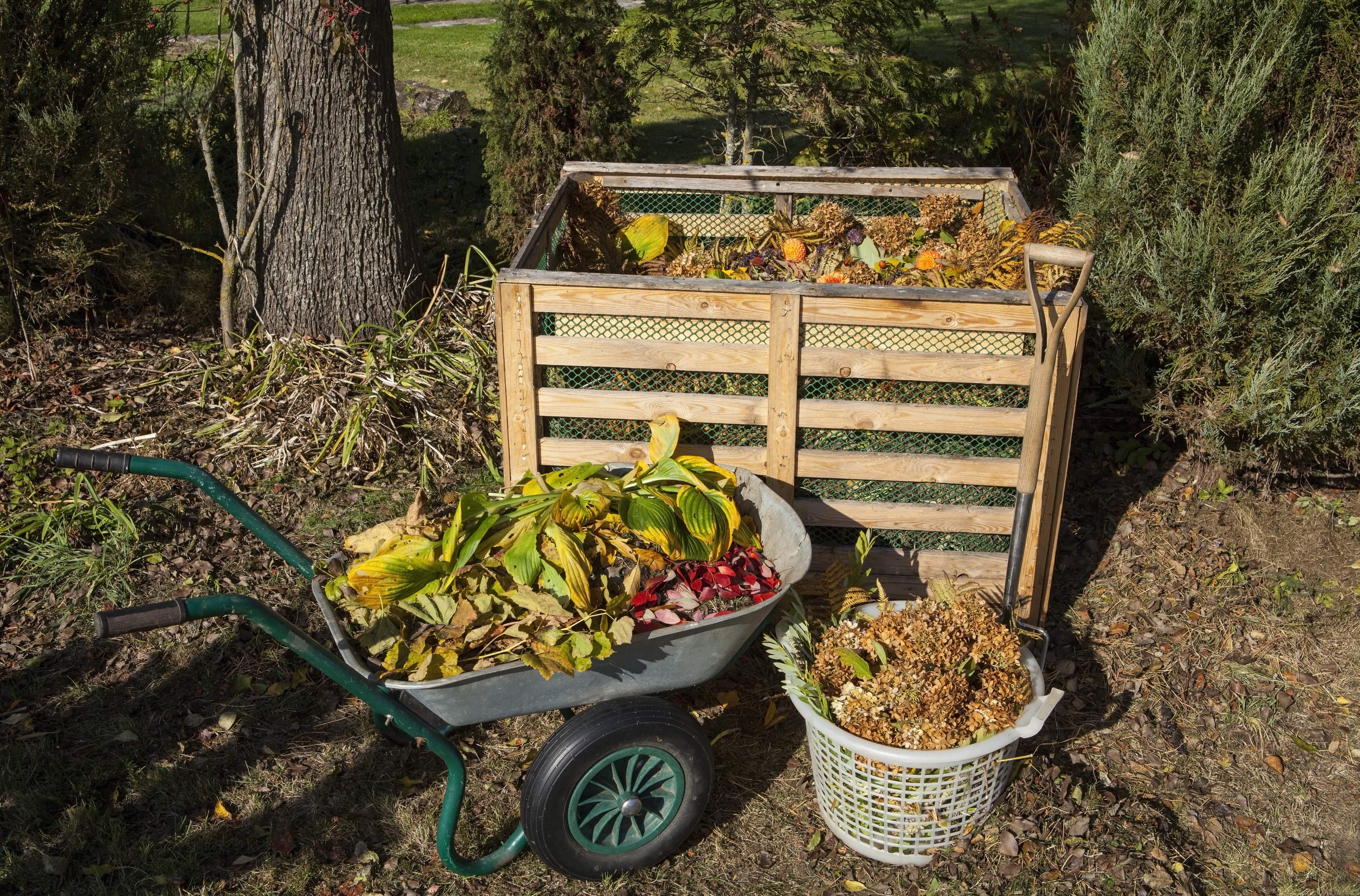 Compost bin using wood and chicken wire fence